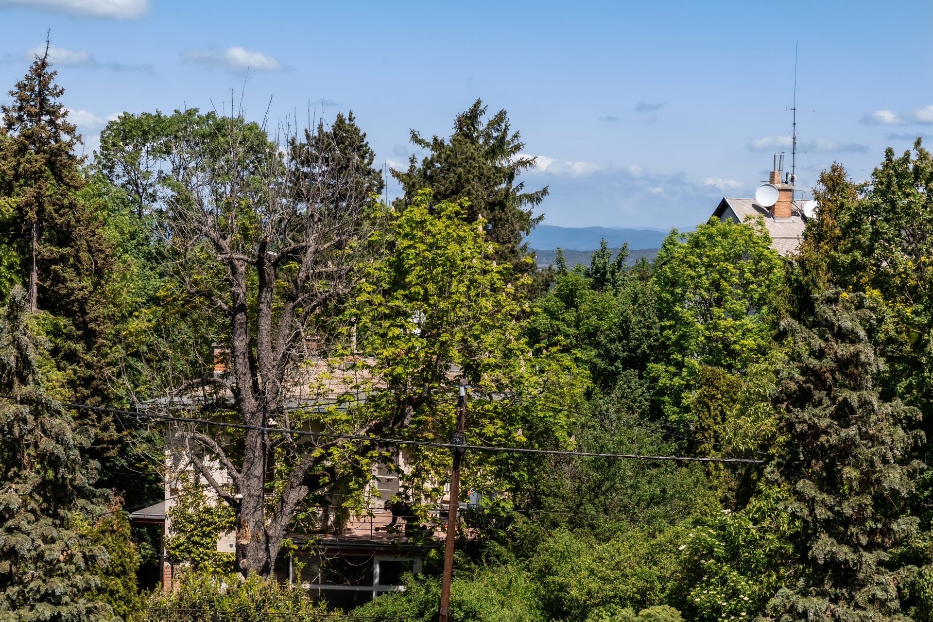  Prestigious Semi-Detached Villa with Pool in Budapest’s Exclusive Buda Hills - 物件實景