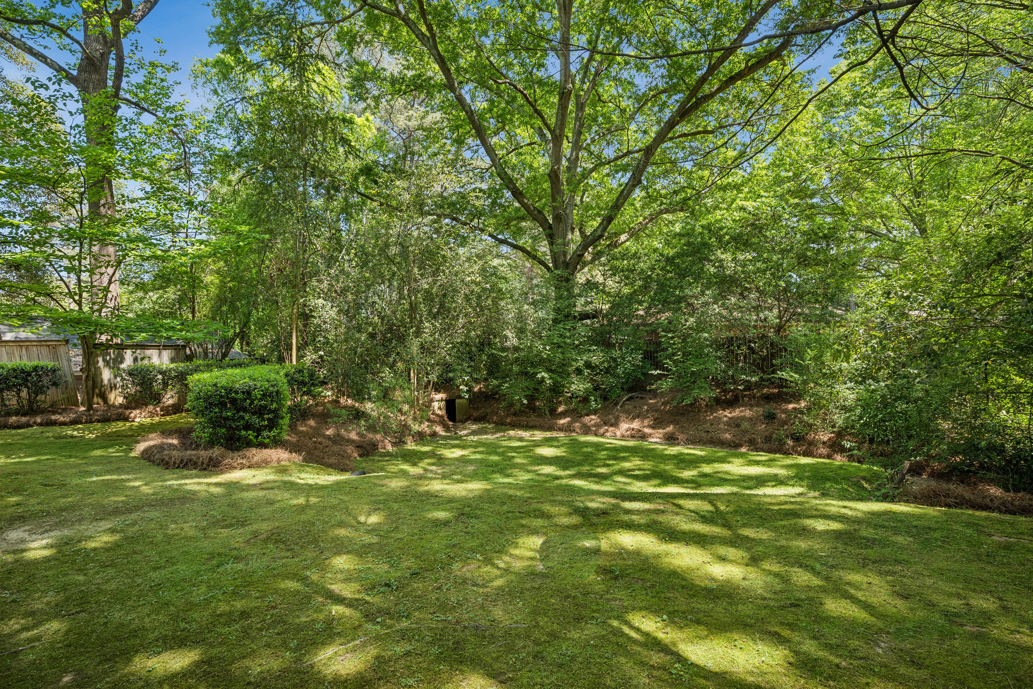  Fabulous Home in The Willows in Oakgrove - 物件實景