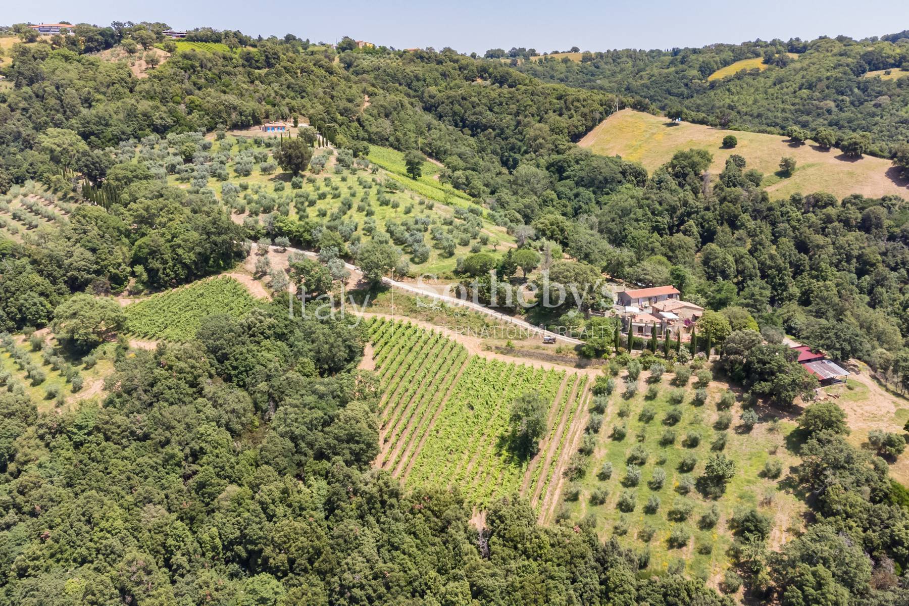  Enchanting property in maremma with vineyards and sea view - 物件實景