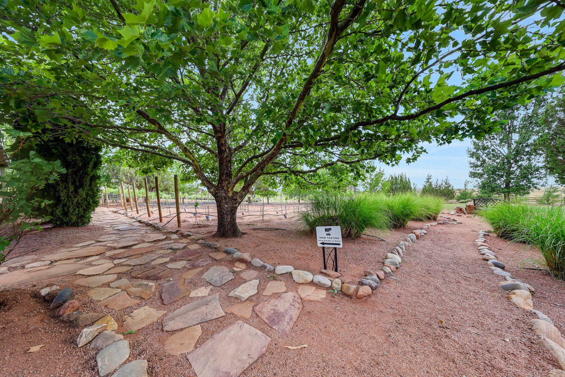  14 County Road 5309, Concho, AZ 85924 - 物件實景