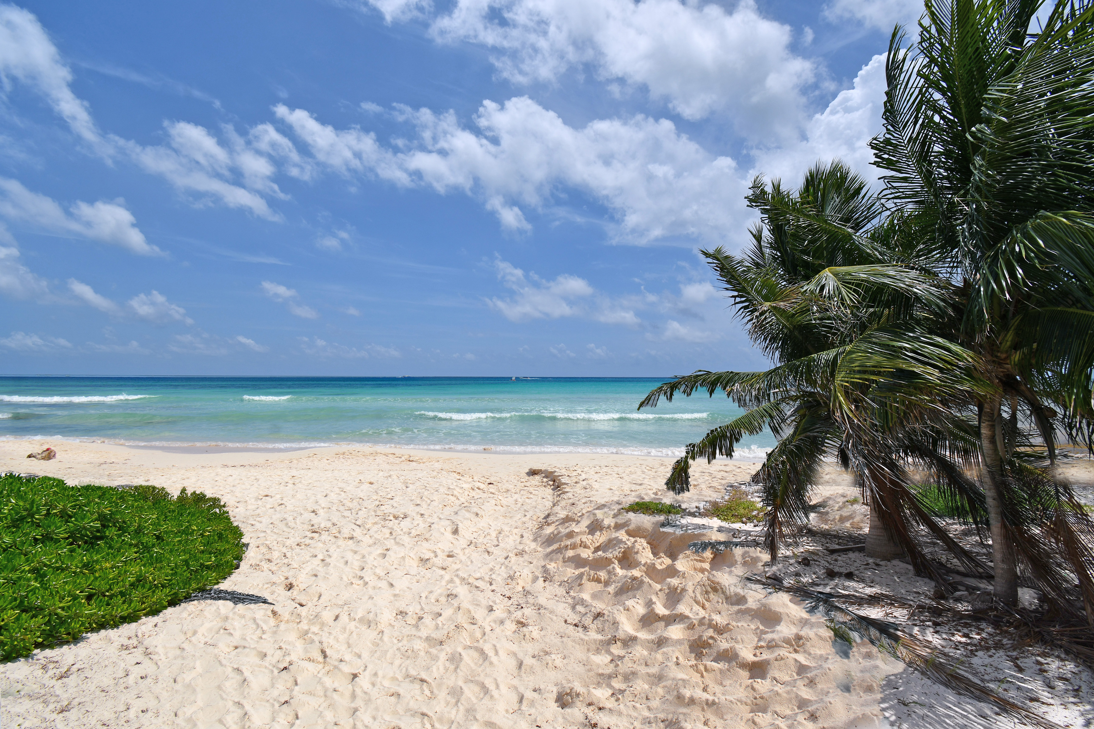  Beachfront Paradise - 物件實景