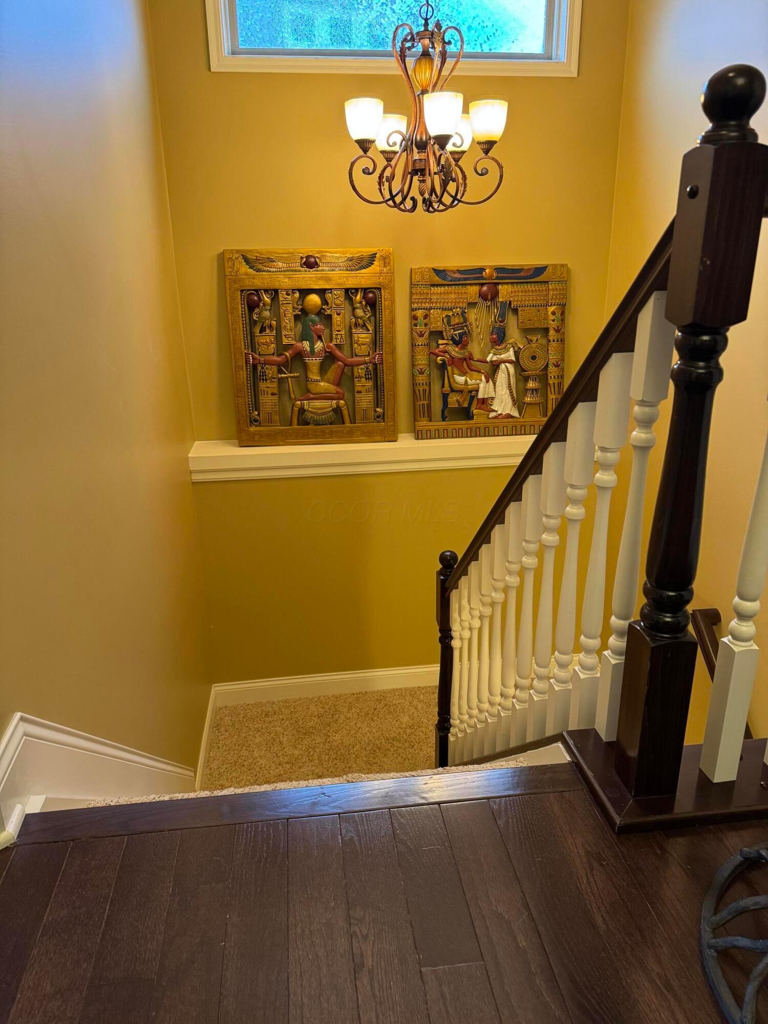 Delaware, Ohio, 43015, United States, 3 Bedrooms Bedrooms, ,2 BathroomsBathrooms,Residential,For Sale,1996799