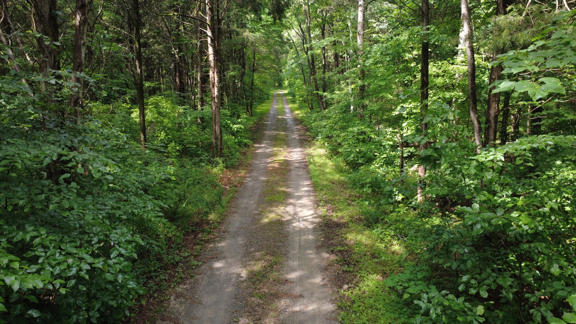  7075 Pinewood Rd, Nunnelly, TN, 37137 - 物件實景