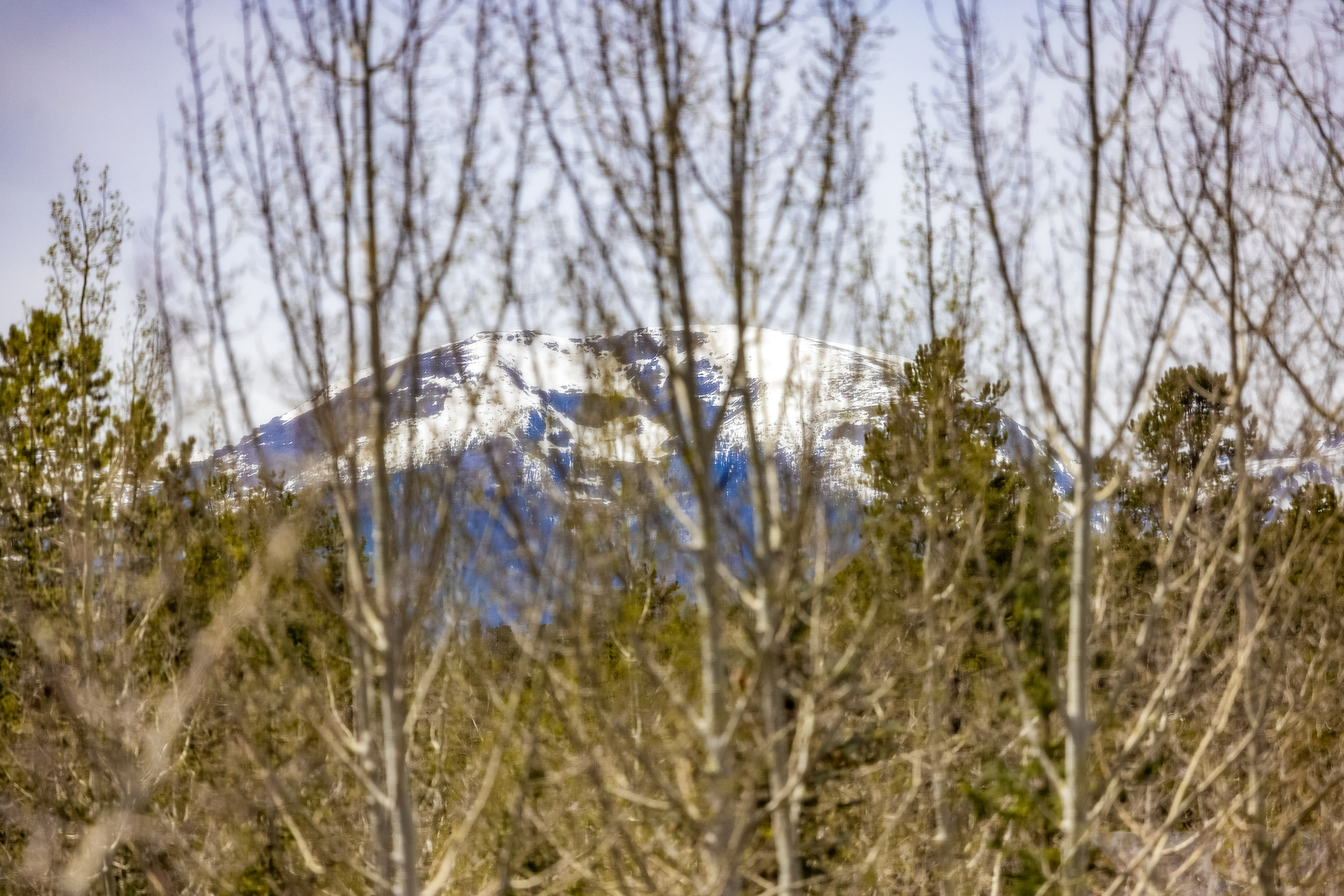  71 Starfire Lane, Keystone, CO, 80435 - 物件實景