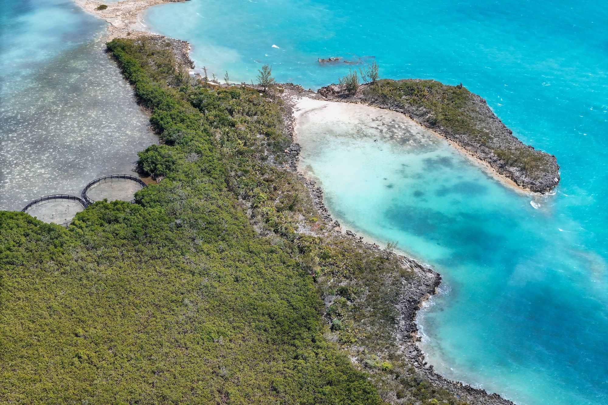  East Russell Island Acreage - 物件實景
