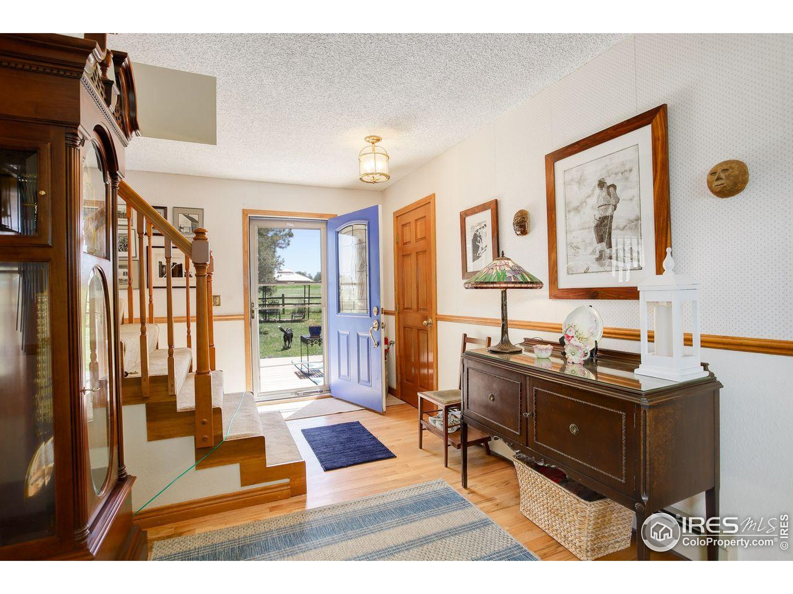Franktown, Colorado, 80116, United States, 5 Bedrooms Bedrooms, ,2 BathroomsBathrooms,Residential,For Sale,1818789