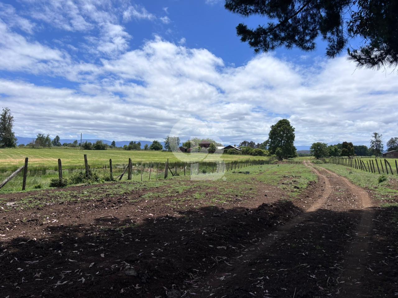 Fresia, Chile, ,Land,For Sale,2003048