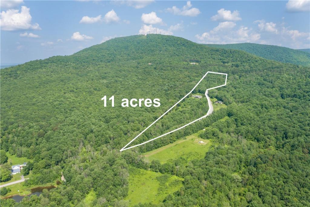 2046 Tower Mountain Road, Stamford, New York, 12167, United States, 3 Bedrooms Bedrooms, ,3 BathroomsBathrooms,Residential,For Sale,2046 Tower Mountain Road,1523402