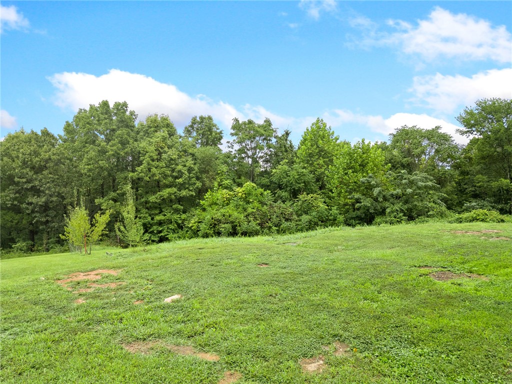 Dogpatch, Arkansas, 72648, United States, 3 Bedrooms Bedrooms, ,3 BathroomsBathrooms,Residential,For Sale,1958320