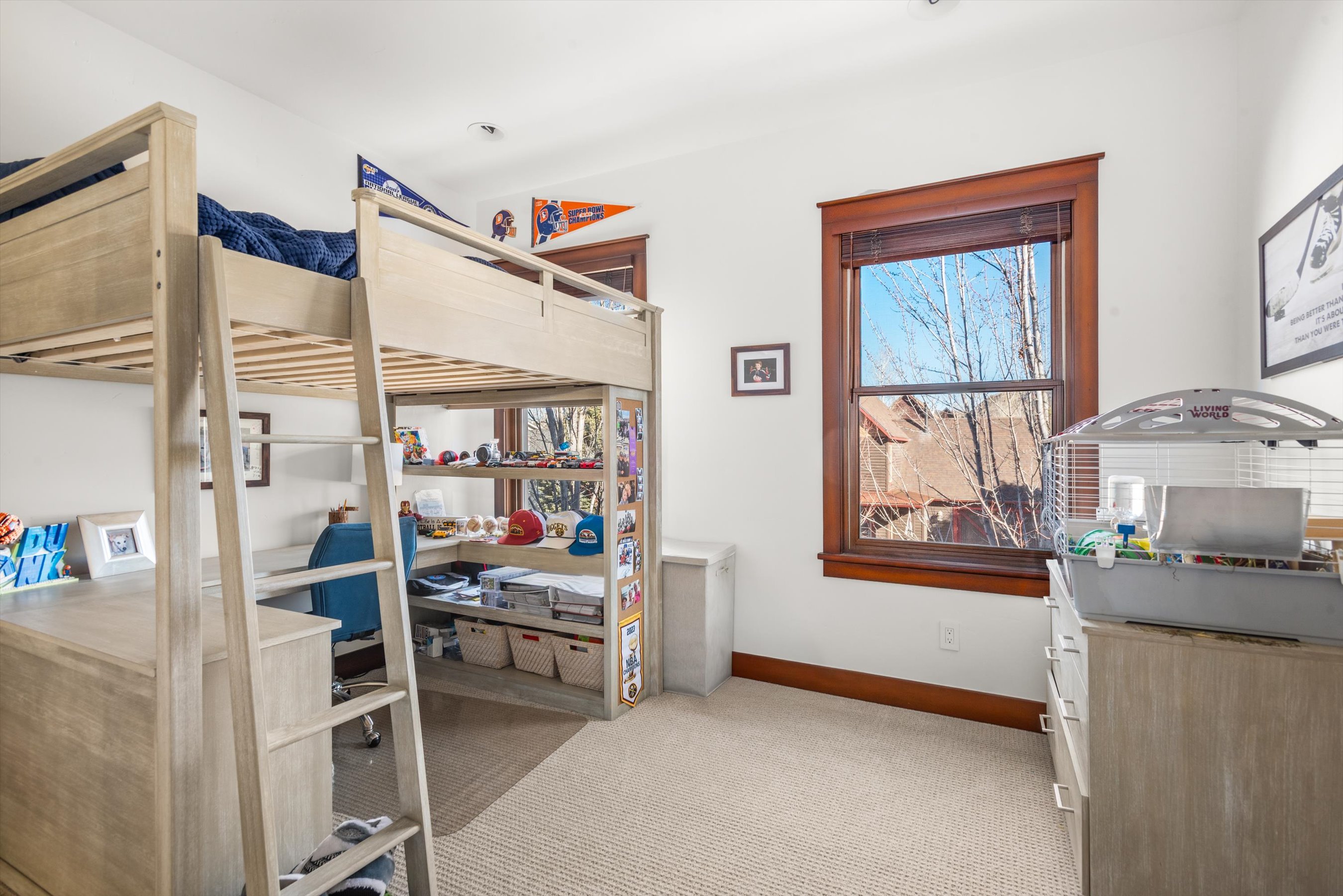  410 Meadow Court, Basalt, CO 81621 - 物件實景