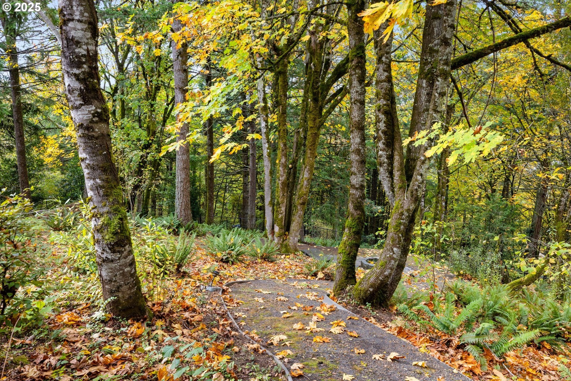 Happy Valley, Oregon, 97086, United States, 3 Bedrooms Bedrooms, ,4 BathroomsBathrooms,Residential,For Sale,1990937
