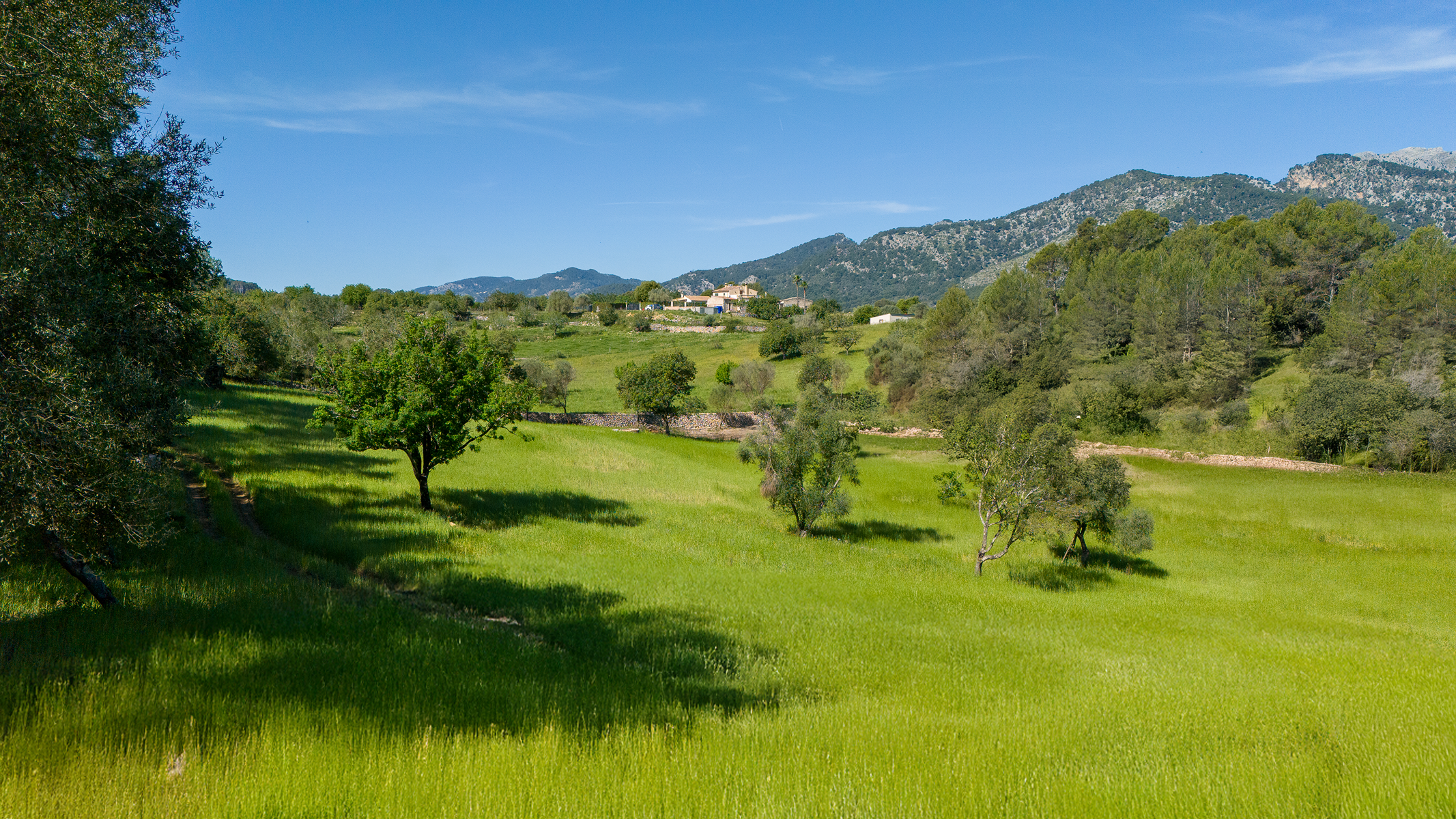  Plot with mountain views near Campanet - 物件實景