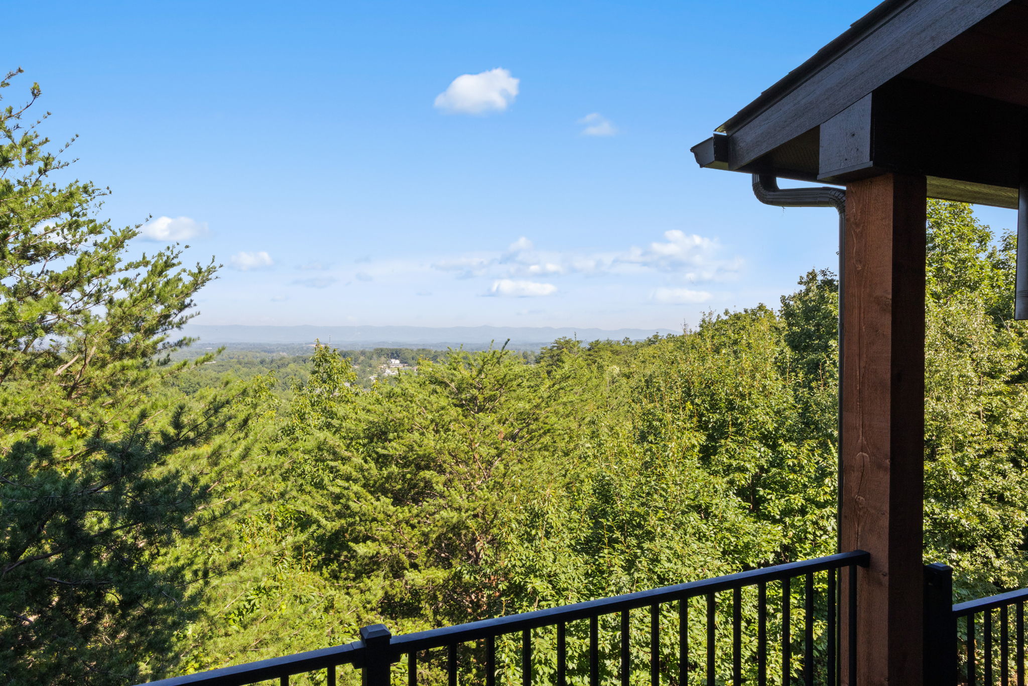  101 Frangipani Way, Greenville, SC 29609 - 物件實景