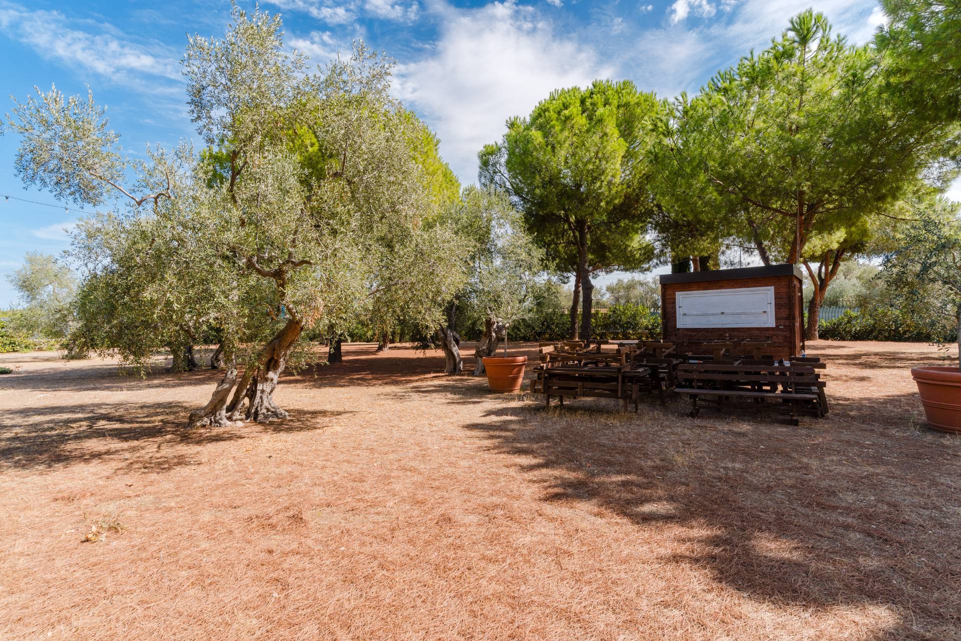 Molfetta, Bari, 70056, IT, 3 Bedrooms Bedrooms, ,4 BathroomsBathrooms,Residential,For Sale,1988051