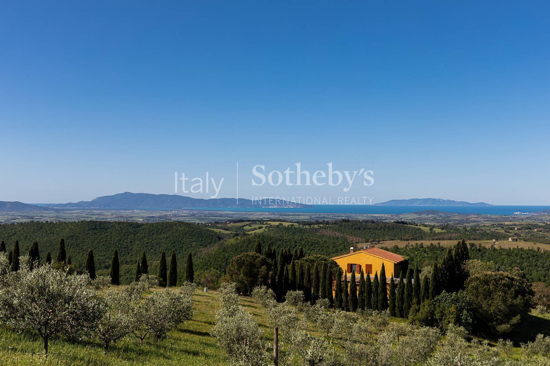  Exclusive wine estate in the Tuscan hills - 物件實景