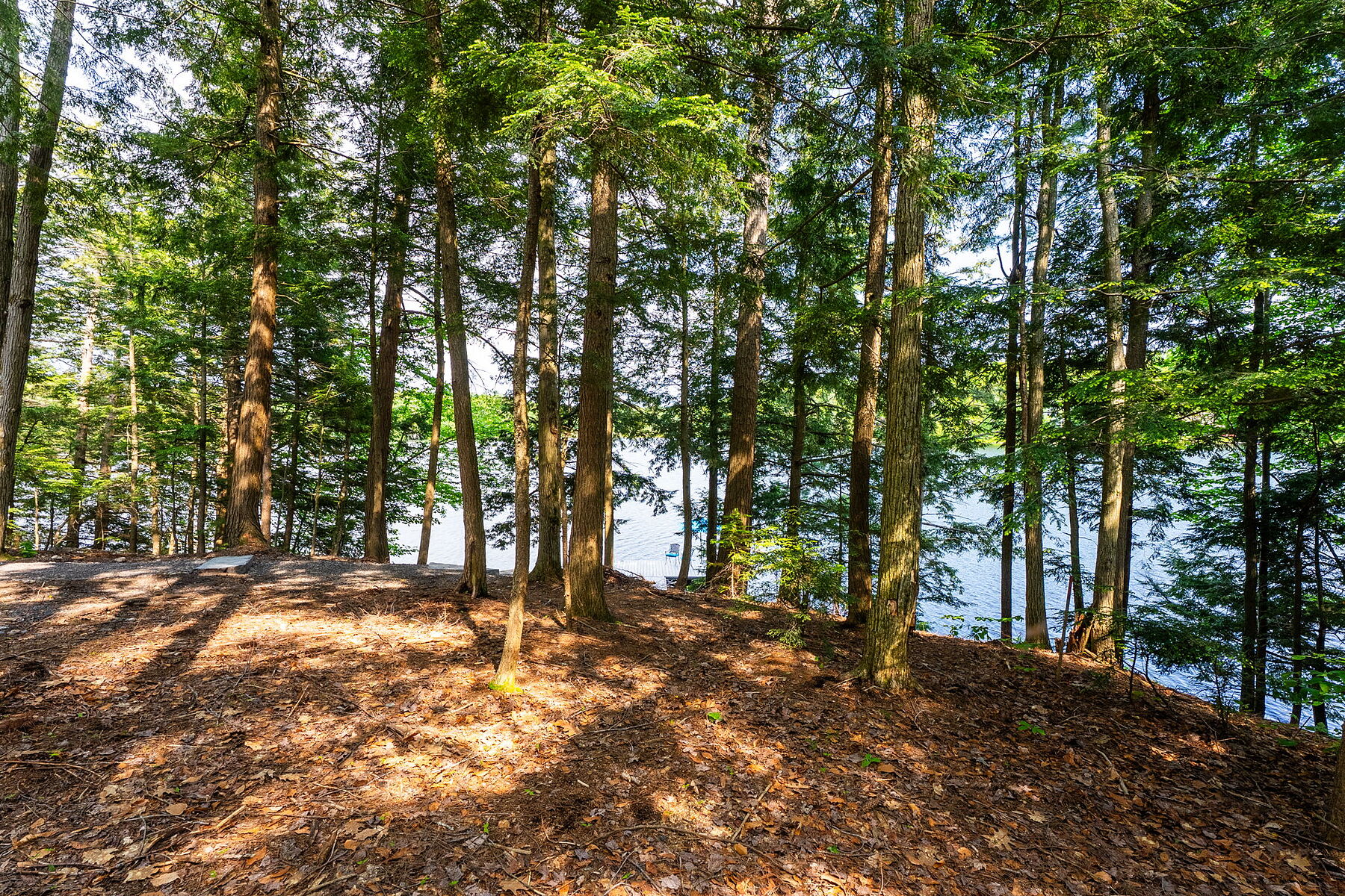  Heart of Muskoka - 物件實景