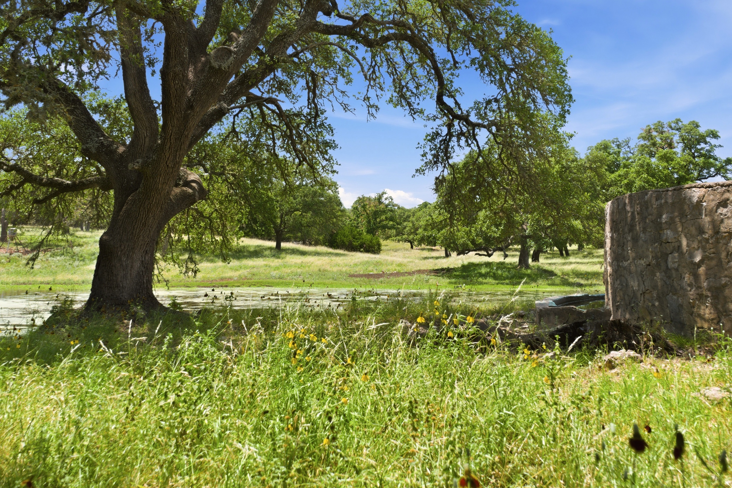  CavaLoma Ranch in Kerr COunty - 物件實景