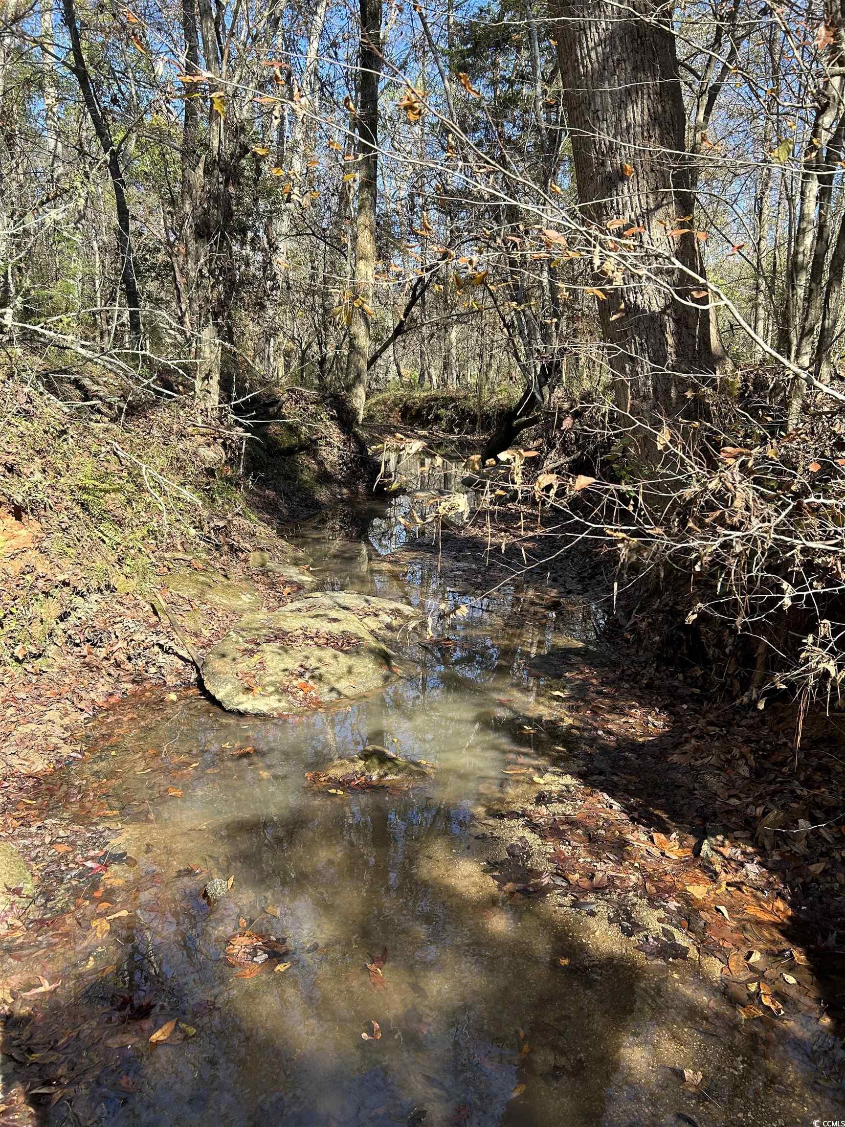  TBD River Fork Rd - 物件實景