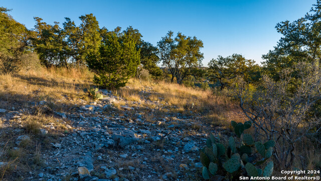 259 Lookout Point N, Comfort, Texas, 78013, United States, ,Land,For Sale,259 Lookout Point N,1675141
