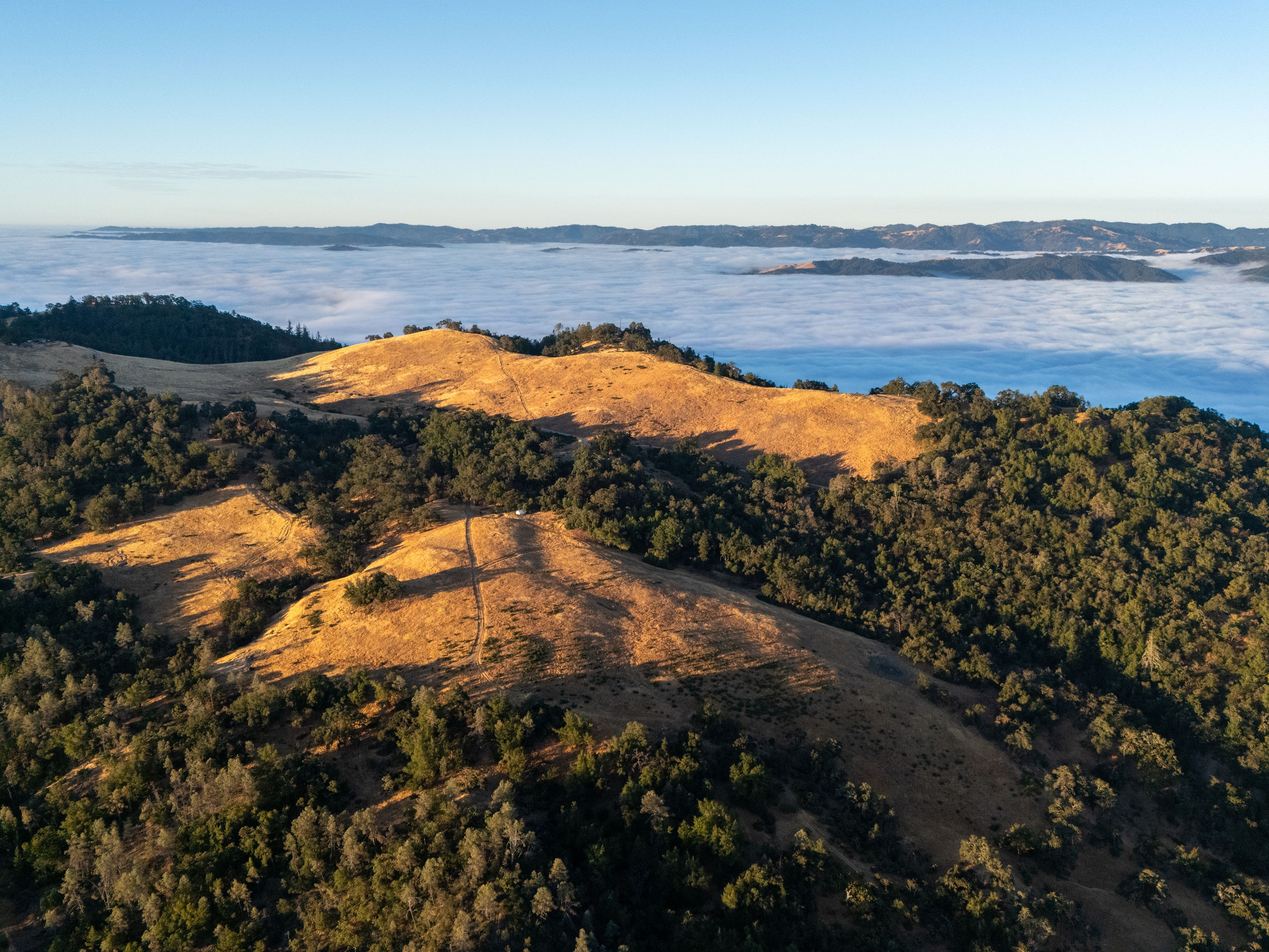  Very Rare Opportunity Alexander Valley Ranch - 物件實景