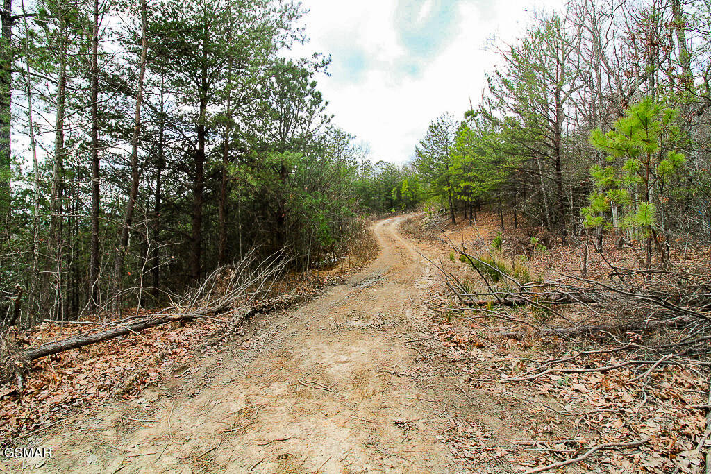 Sevierville, Tennessee, 37876, United States, ,Land,For Sale,2009102