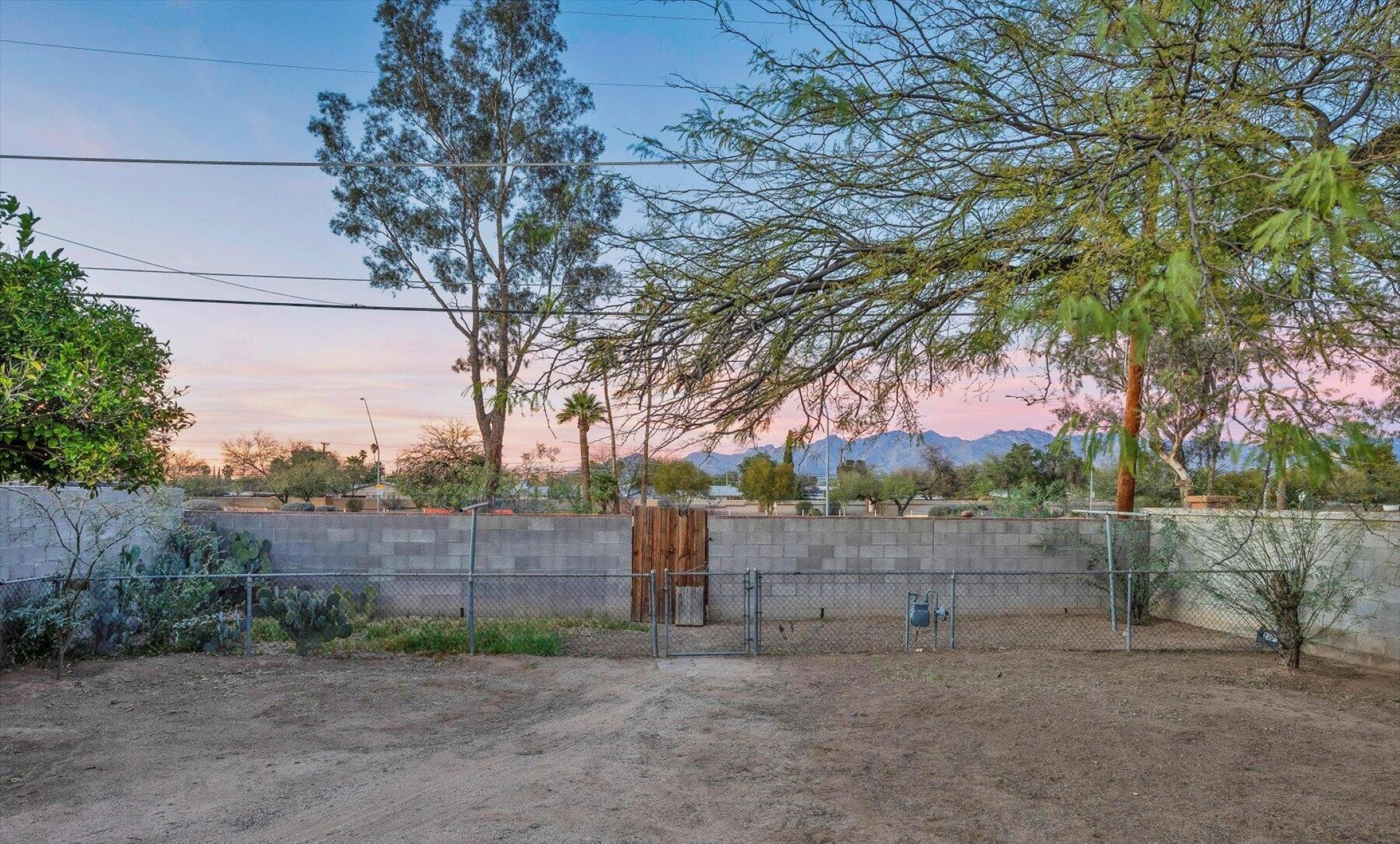  2313 E 23rd Street, Tucson, AZ 85713 - 物件實景