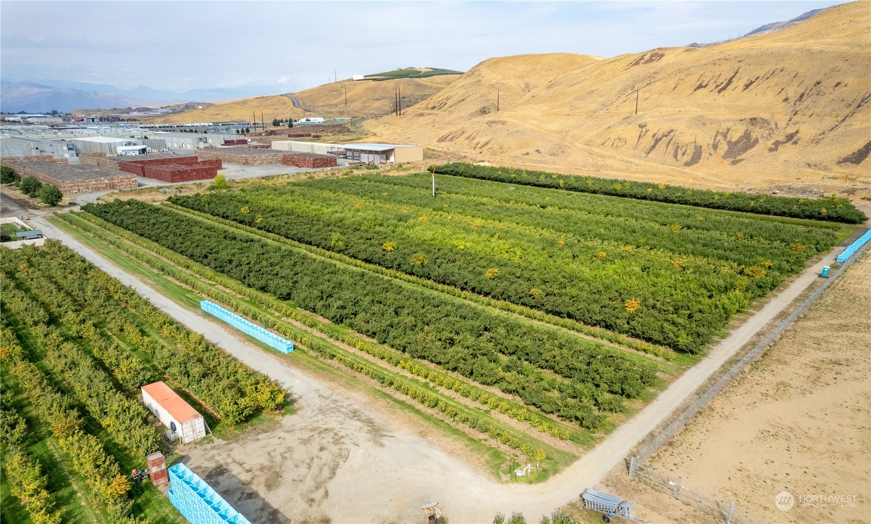 0 S Ward Avenue, East Wenatchee, Washington, 98802, United States, ,Land,For Sale,0 S Ward Avenue,1517879