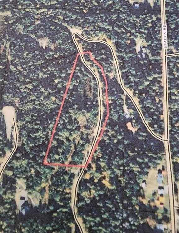 Sagle, Idaho, 83860, United States, ,Land,For Sale,1977293