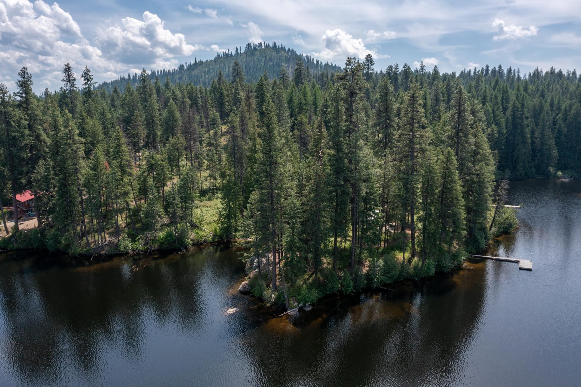 Newport, Washington, 99156, United States, ,Residential,For Sale,1869403