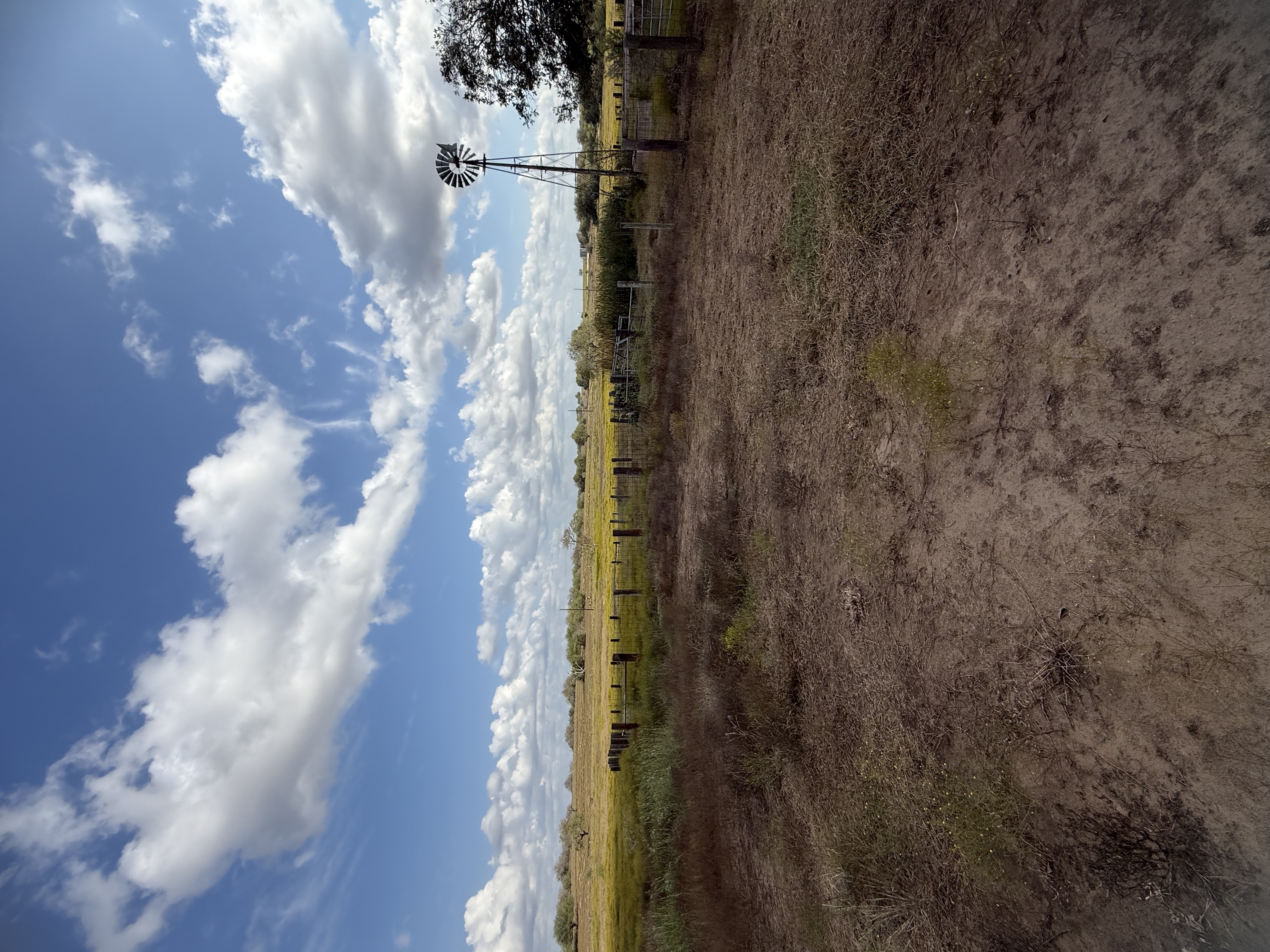 Runge, Texas, 78151, United States, ,Residential,For Sale,1996631