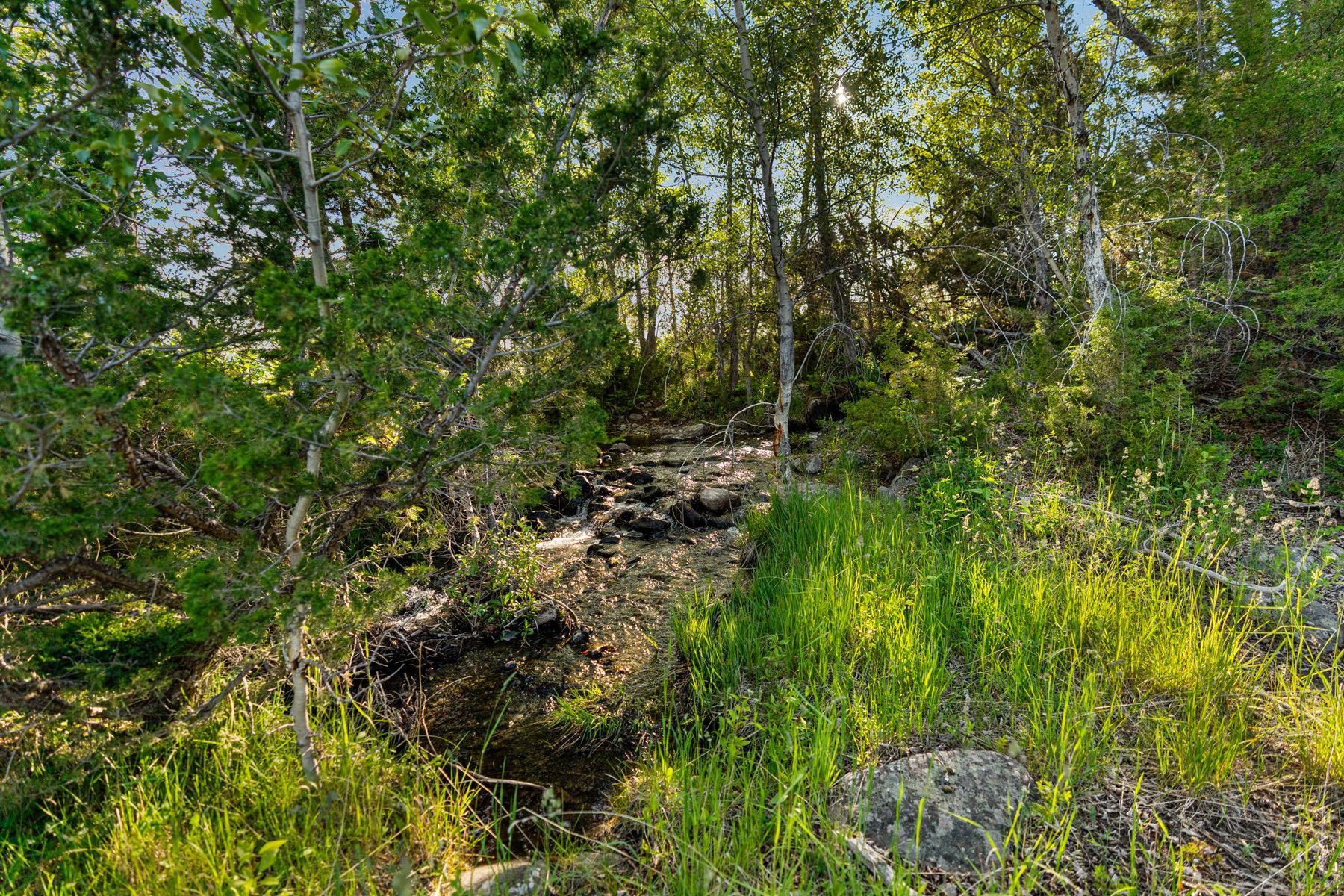  1580 Evan Reese Creek Rd - 物件實景