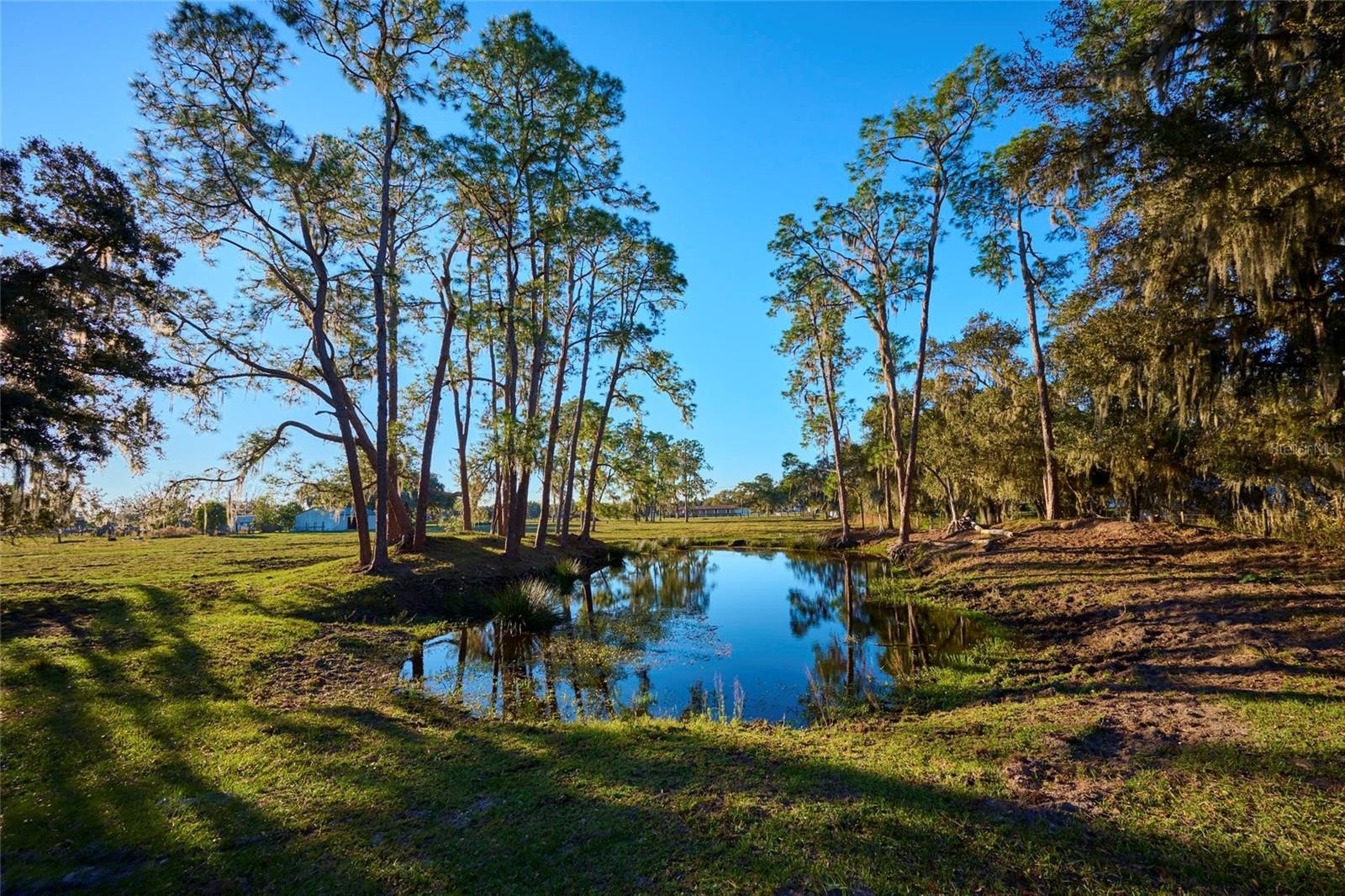 BARTOW, Florida, 33830, United States, 3 Bedrooms Bedrooms, ,2 BathroomsBathrooms,Residential,For Sale,1915491