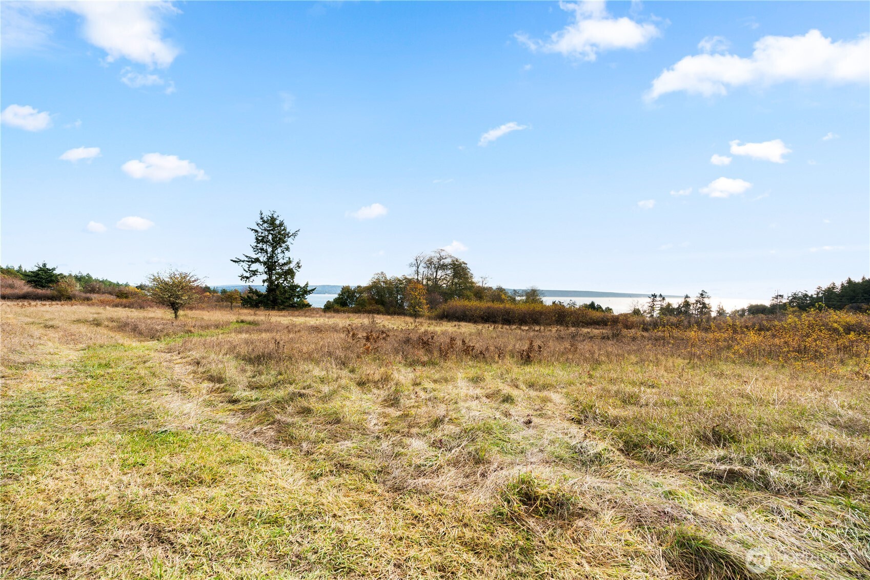 Friday Harbor, Washington, 98250, United States, ,Land,For Sale,1991931