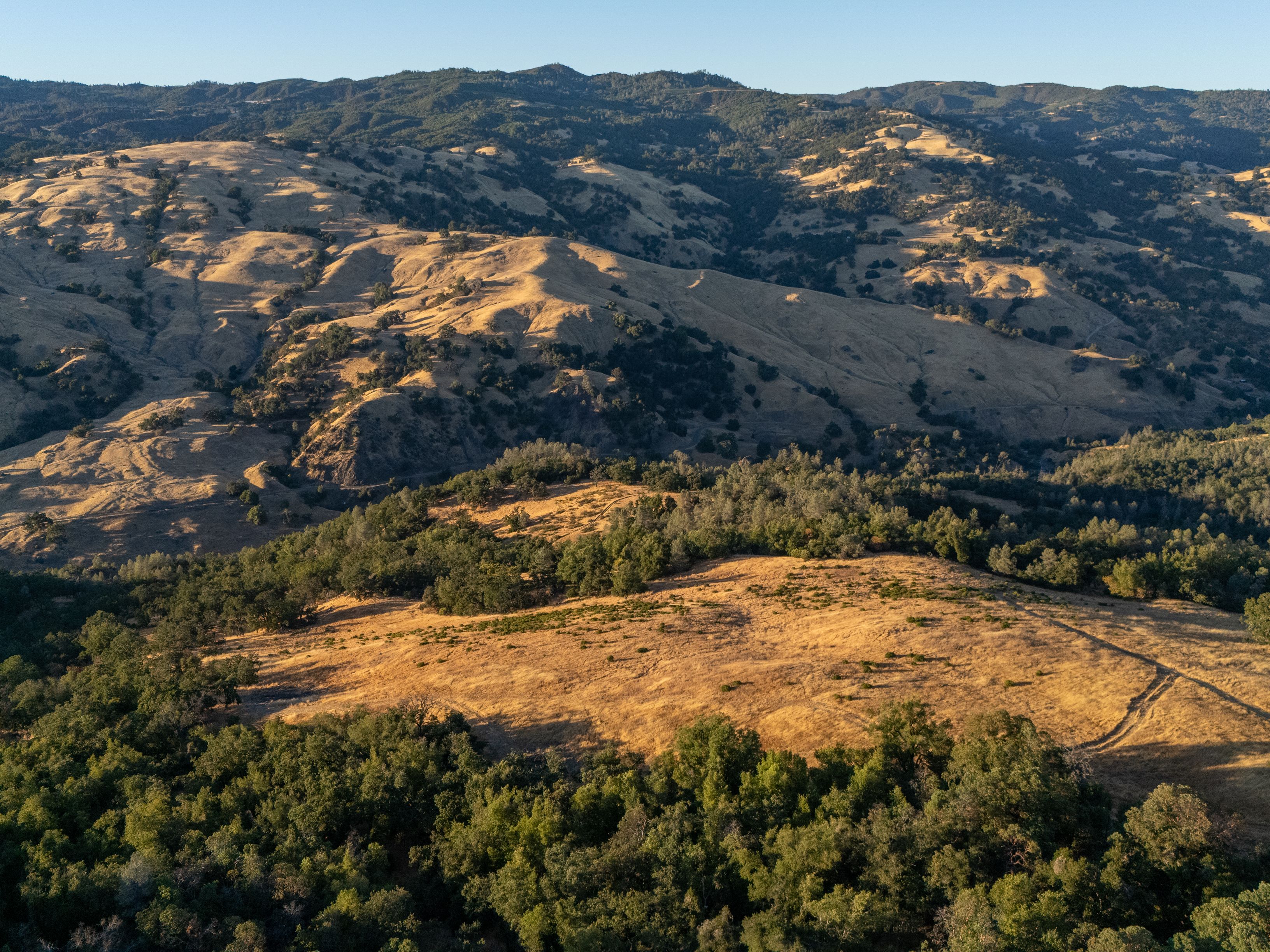  Very Rare Opportunity Alexander Valley Ranch - 物件實景