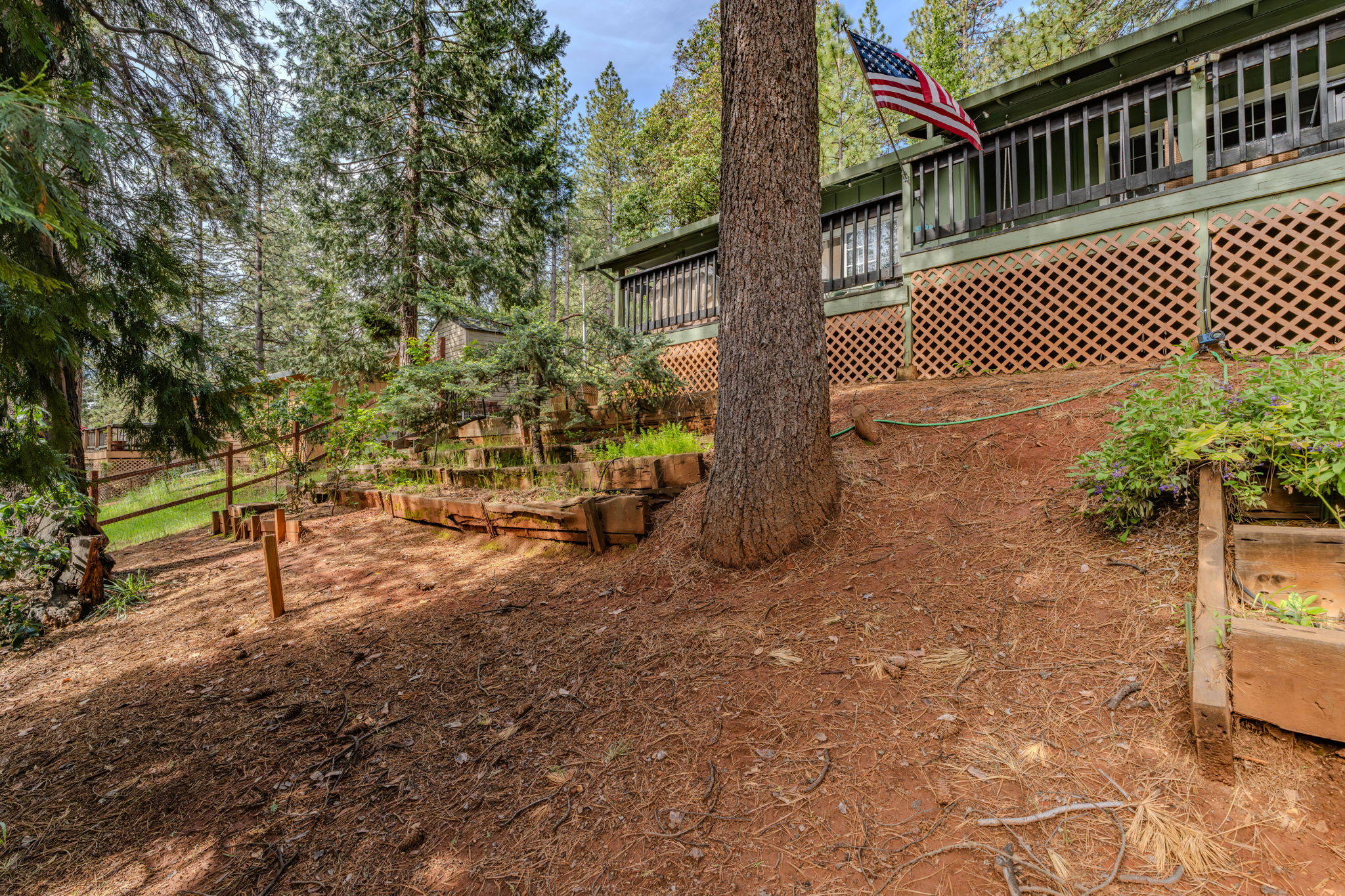  19021 Mace Drive, Pioneer, CA 95666 - 物件實景
