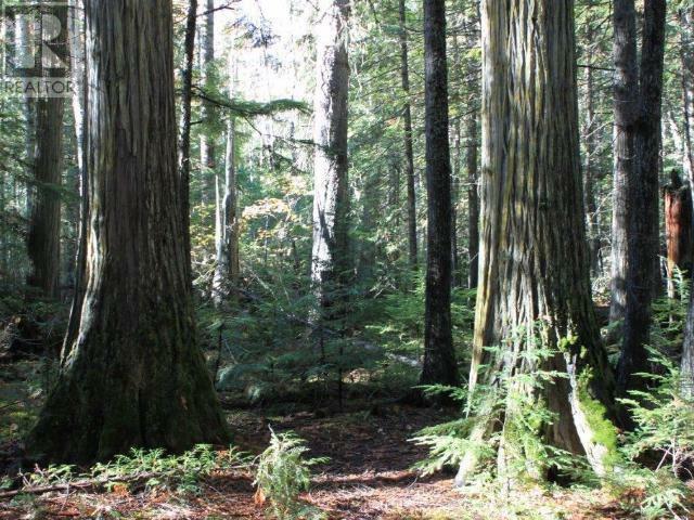 WELLS GRAY, British Columbia, V0E 1N1, CA, 1 Bedroom Bedrooms, ,1 BathroomBathrooms,Residential,For Sale,1838822