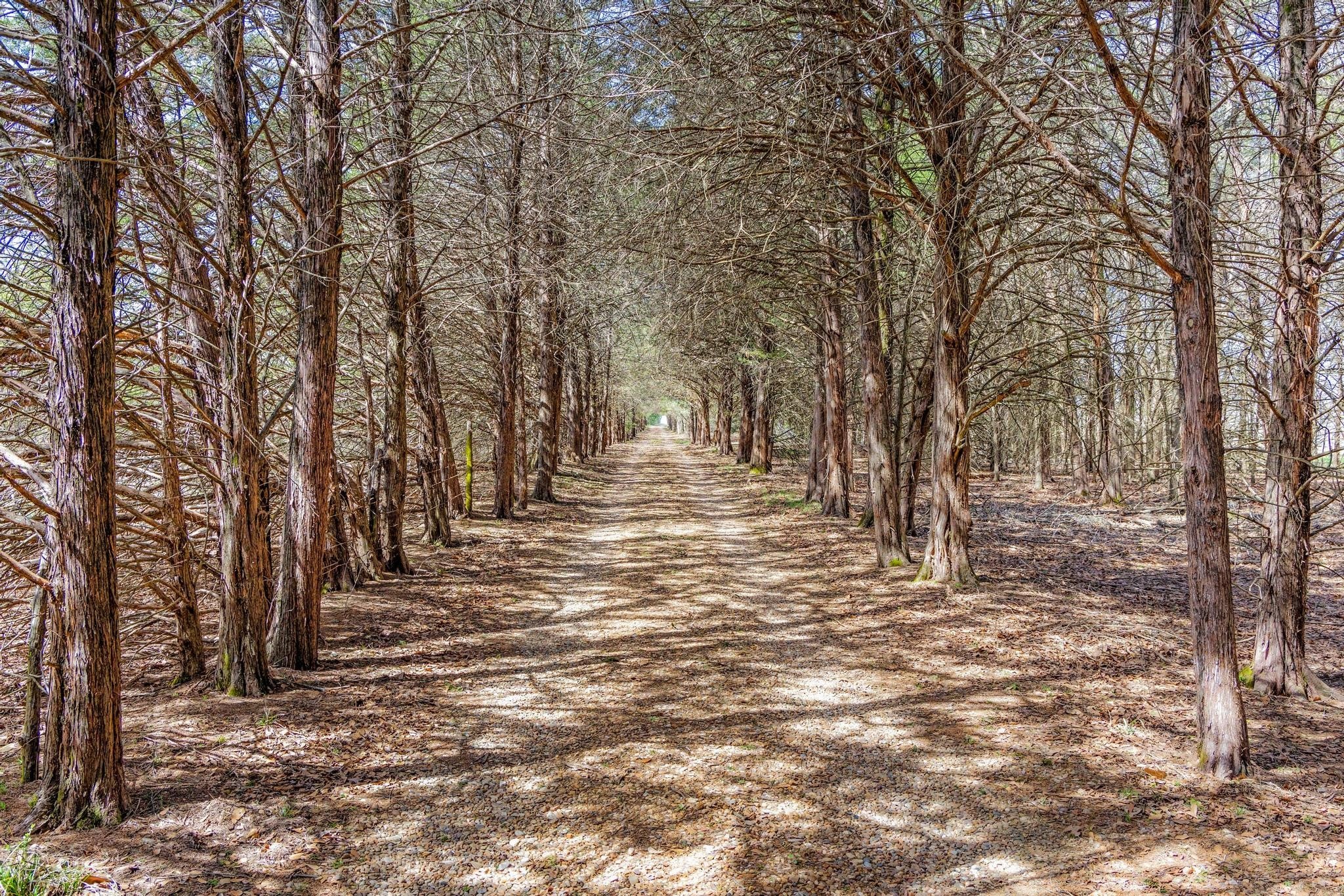 Ivanhoe, Texas, 75447, United States, 3 Bedrooms Bedrooms, ,2 BathroomsBathrooms,Residential,For Sale,1974689