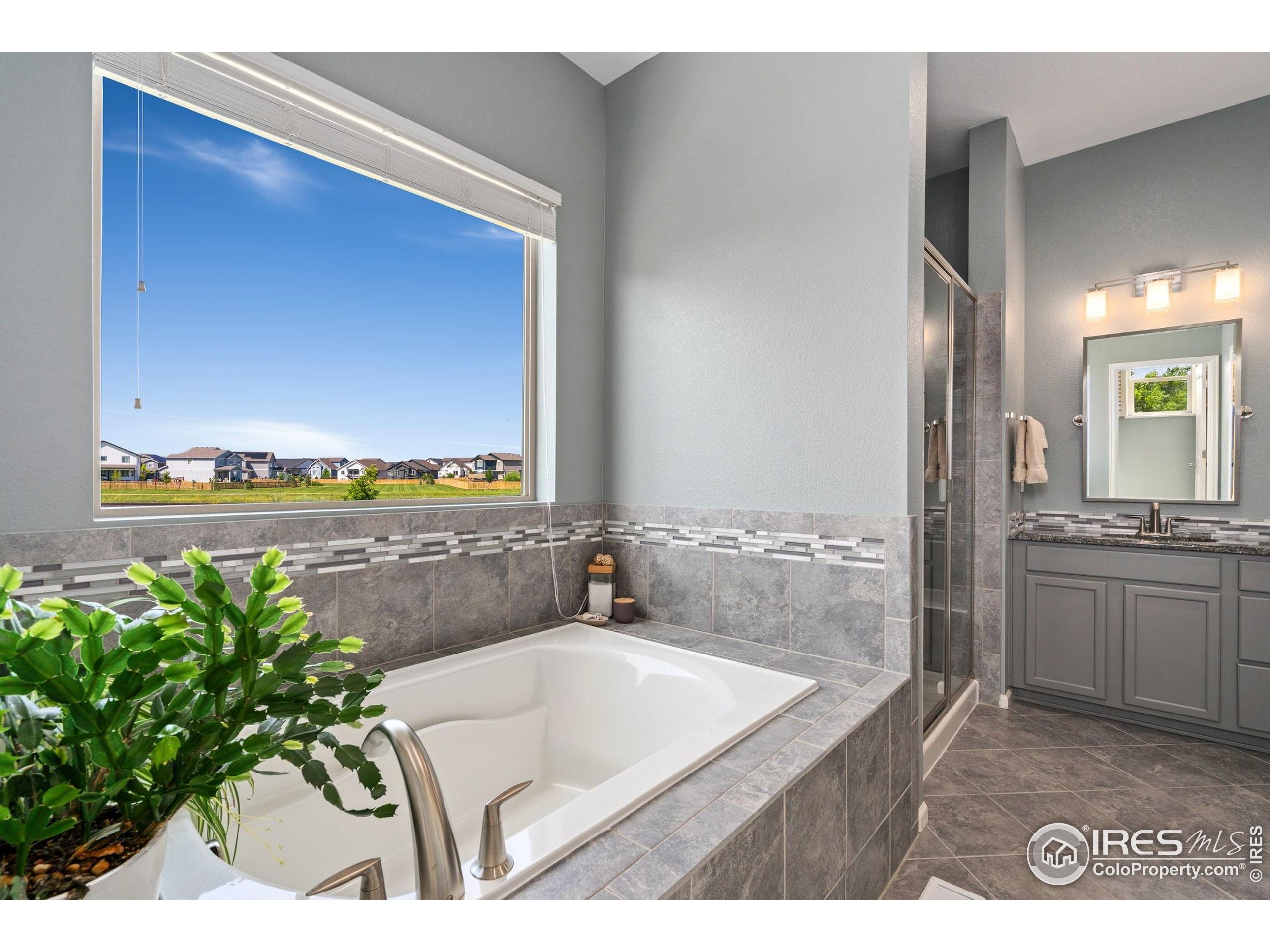 Timnath, Colorado, 80547, United States, 5 Bedrooms Bedrooms, ,3 BathroomsBathrooms,Residential,For Sale,1875536