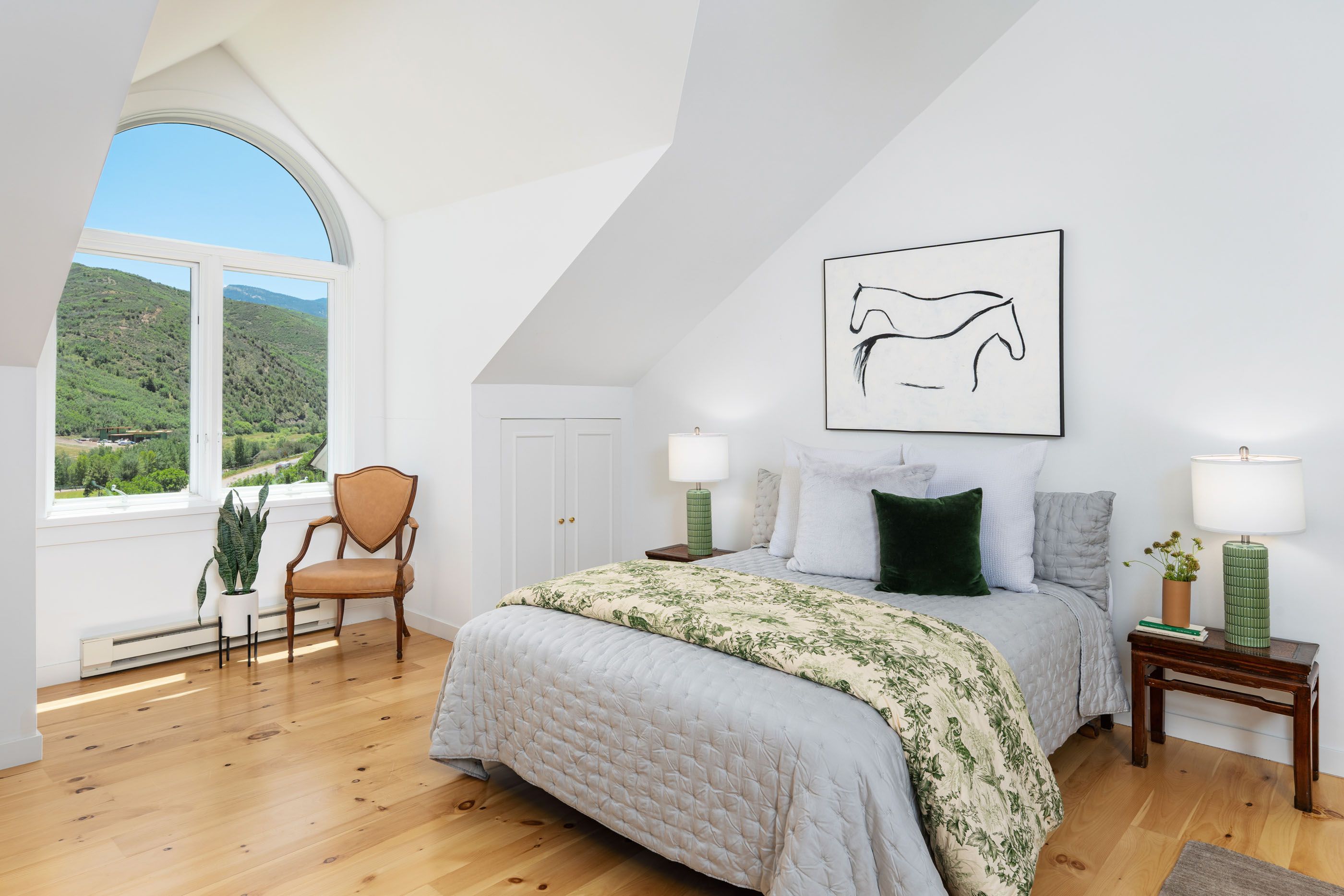  679 Brush Creek Road, Aspen, CO 81611 - 物件實景