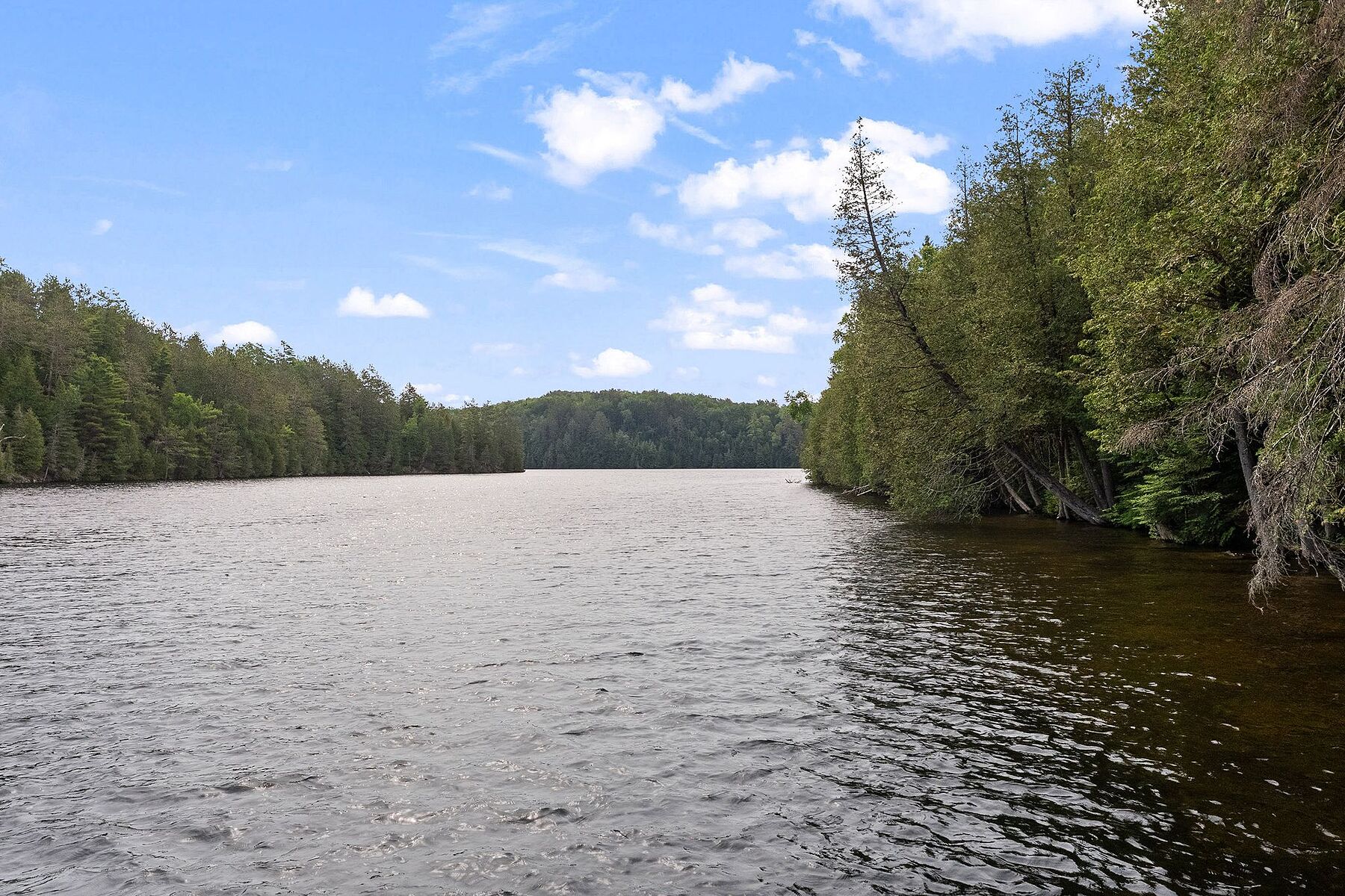  A Legacy on Fortescue Lake - 物件實景