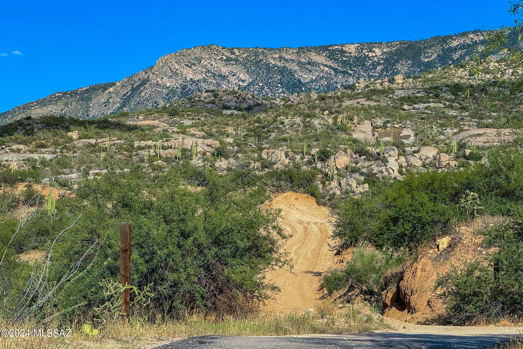 Tucson, Arizona, 85739, United States, ,Land,For Sale,1744993
