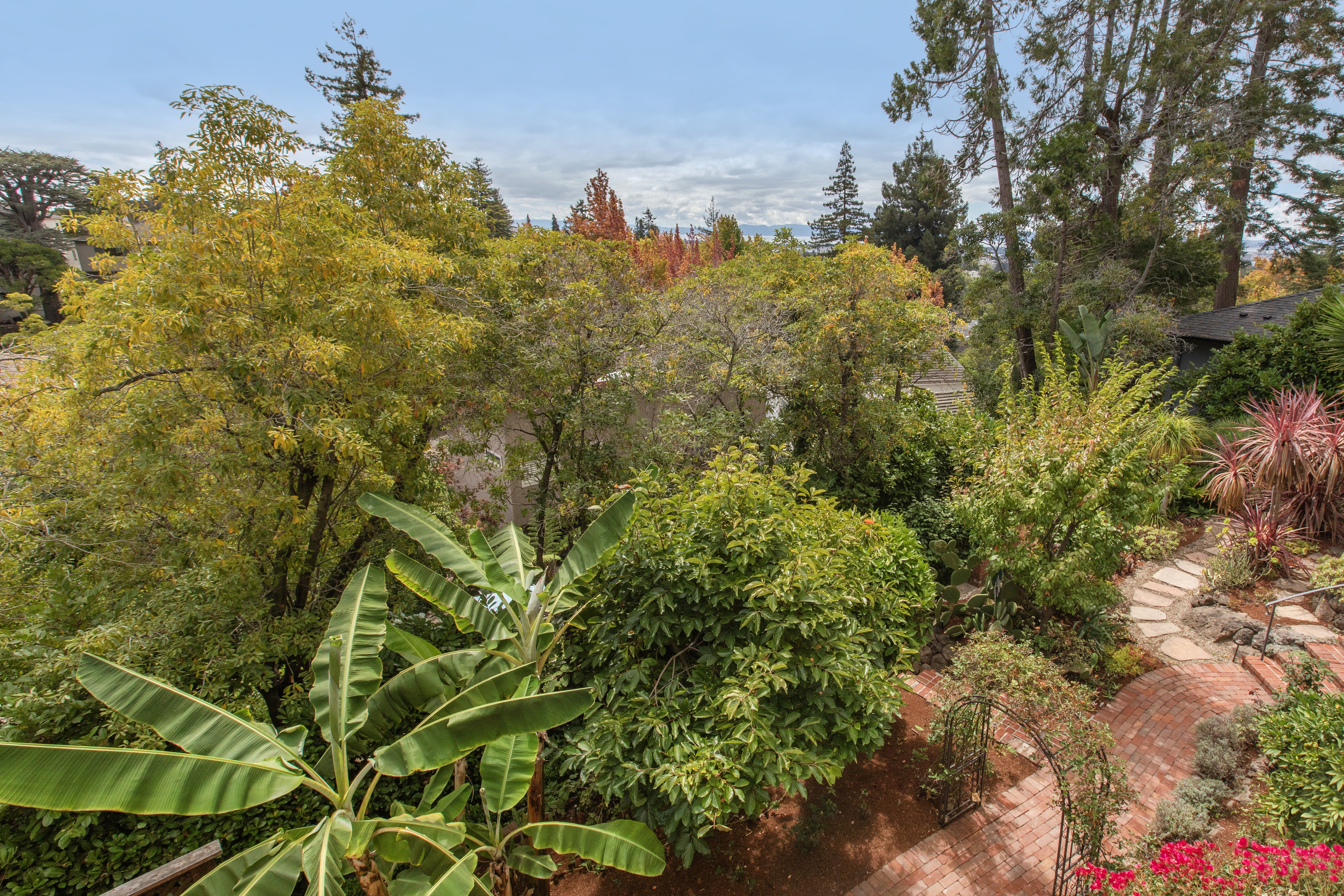  A Cherished Upper Piedmont Estate with Exceptional Views and Gardens - 物件實景
