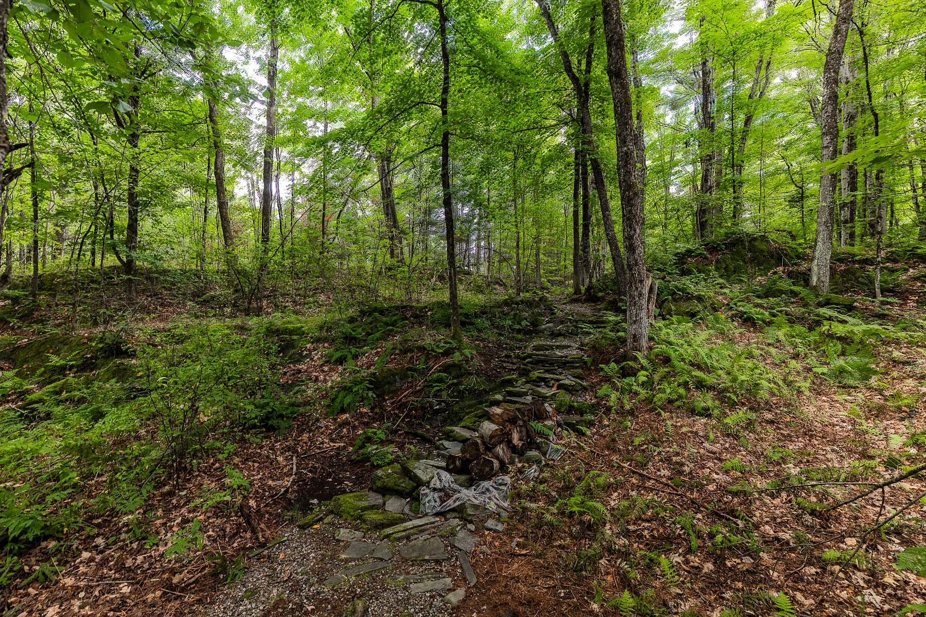  Lac-Brome, Eastern Townships - 物件實景