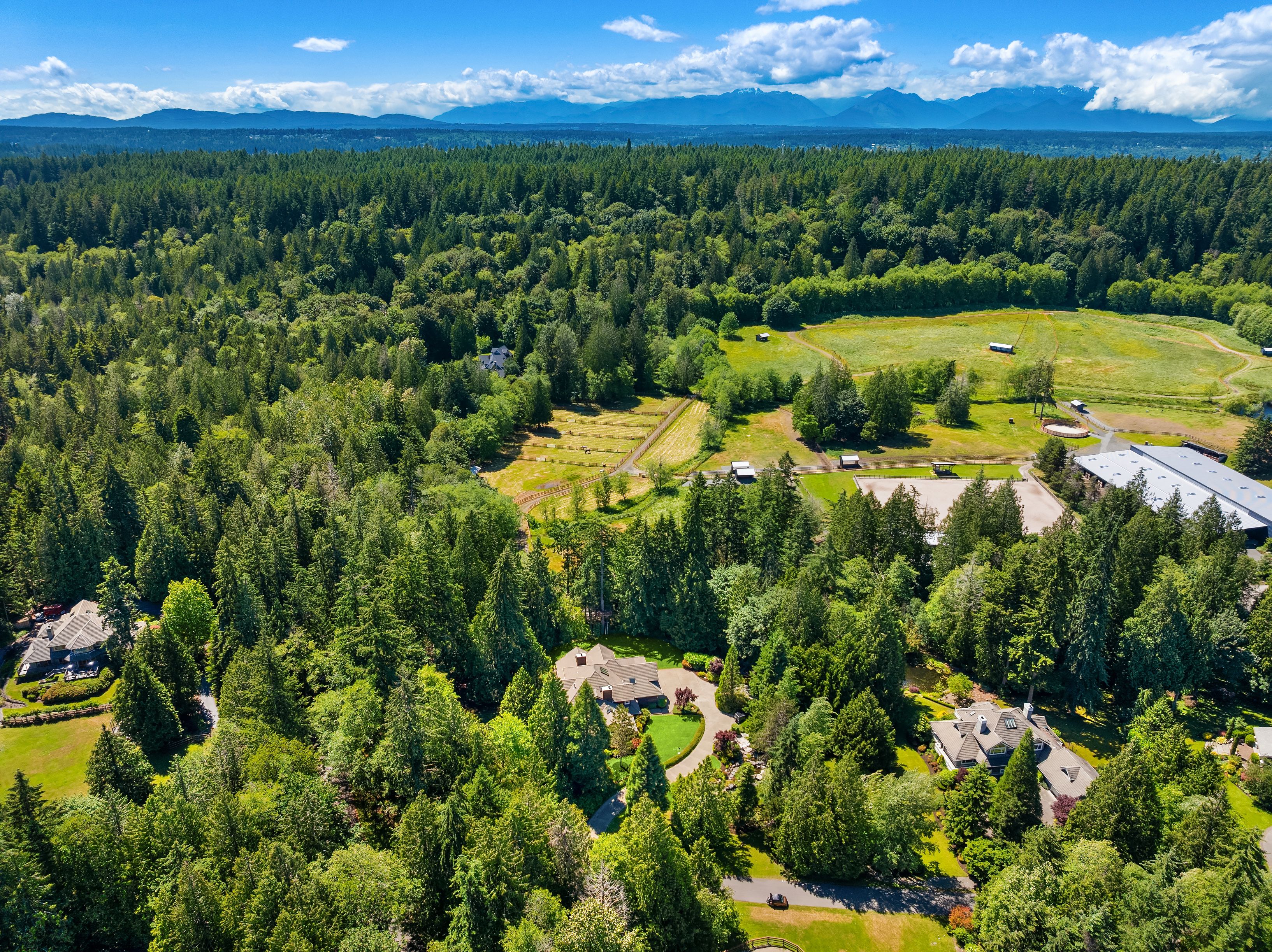  10199 Affirmed Lane Northeast, Bainbridge Island, WA 98110 - 物件實景