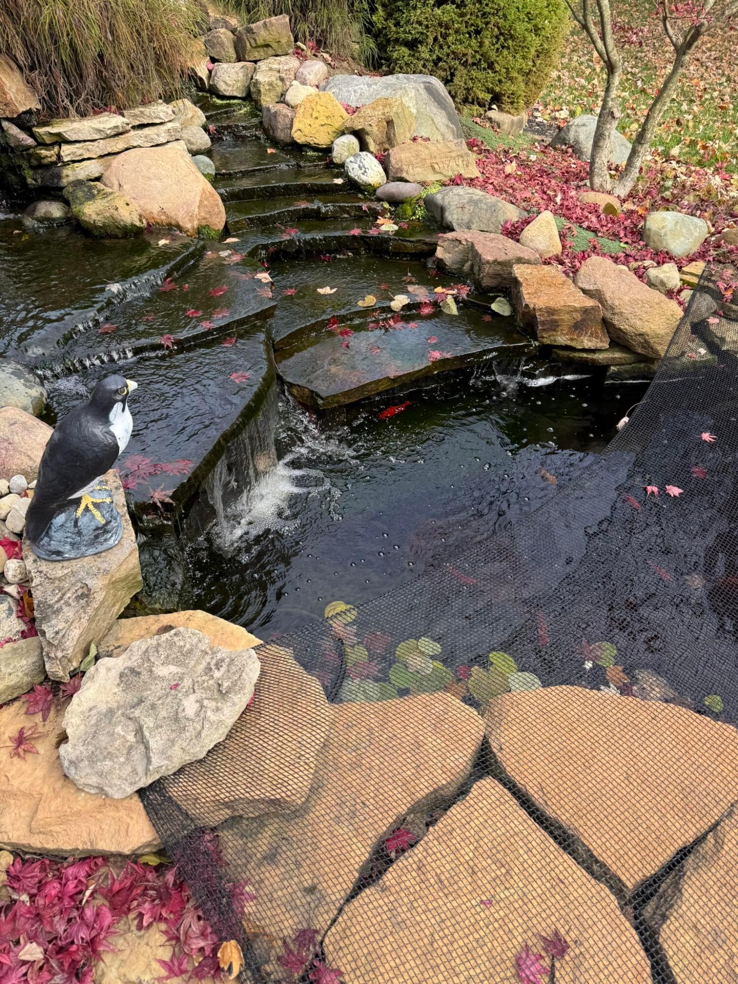 Dublin, Ohio, 43016, United States, 4 Bedrooms Bedrooms, ,4 BathroomsBathrooms,Residential,For Sale,1996840