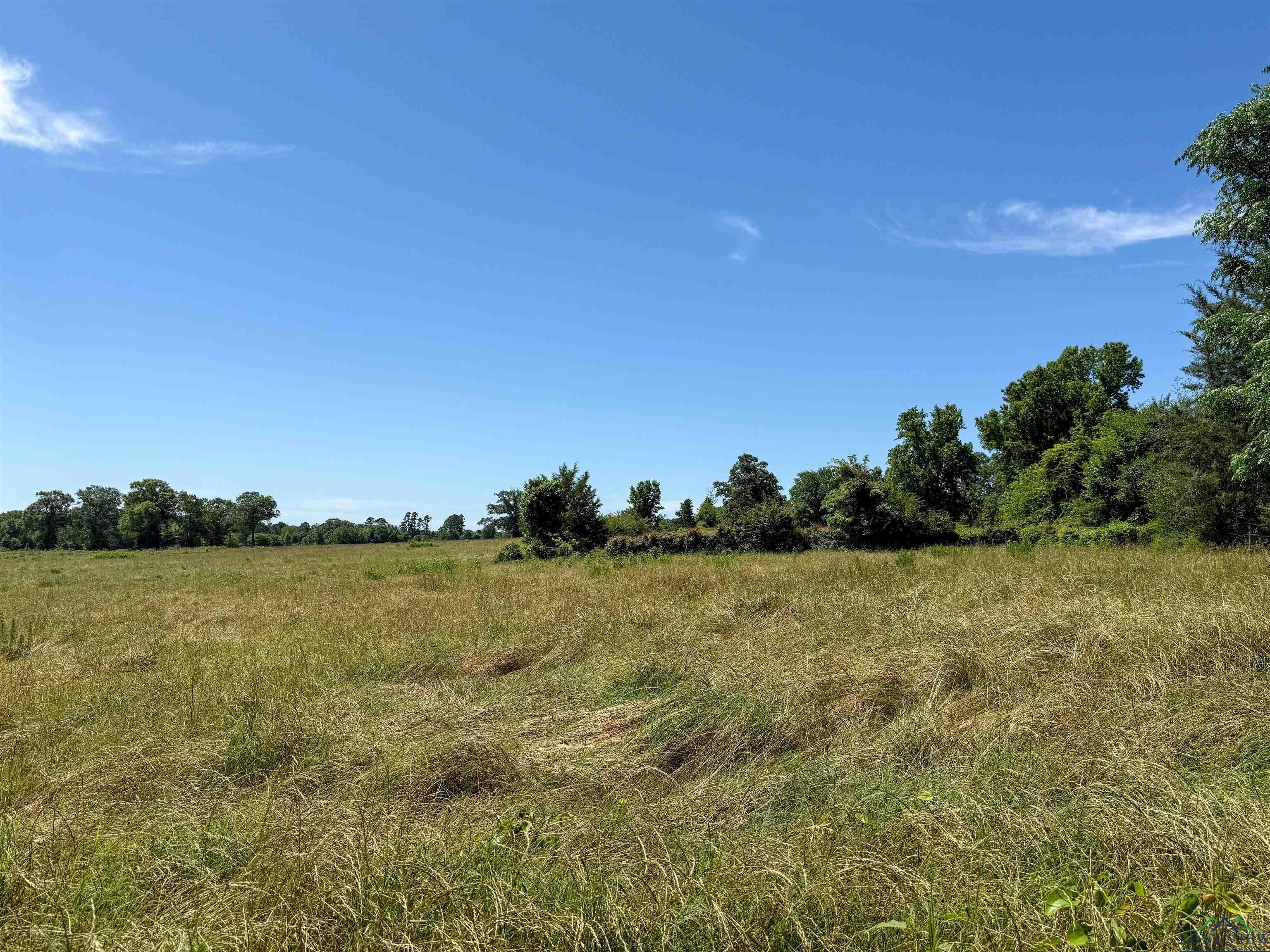 7557 FM 248, Lodi, Texas, 75564, United States, ,Residential,For Sale,7557 FM 248,1614560