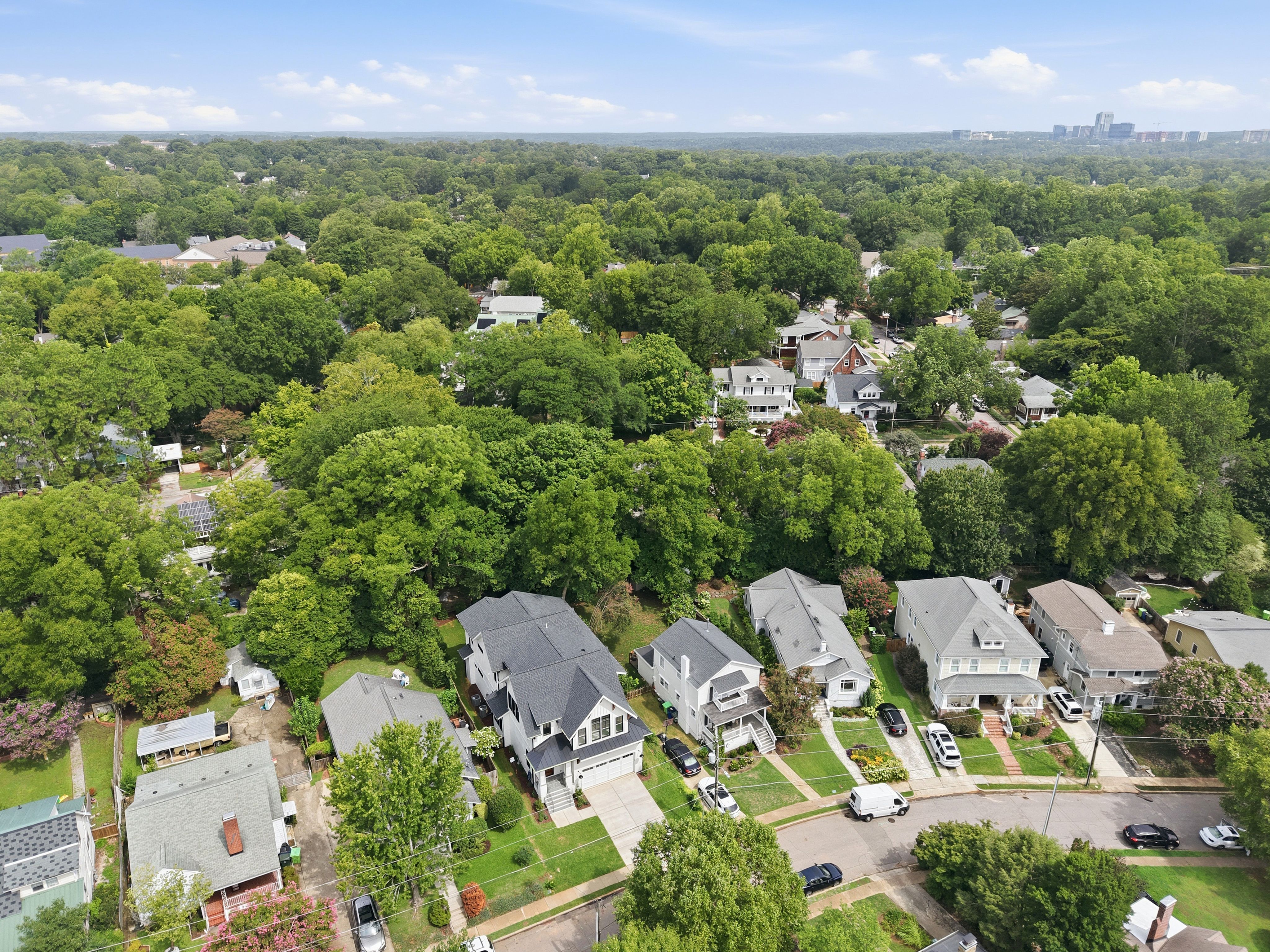  316 Perry Street, Raleigh, NC 27608 - 物件實景