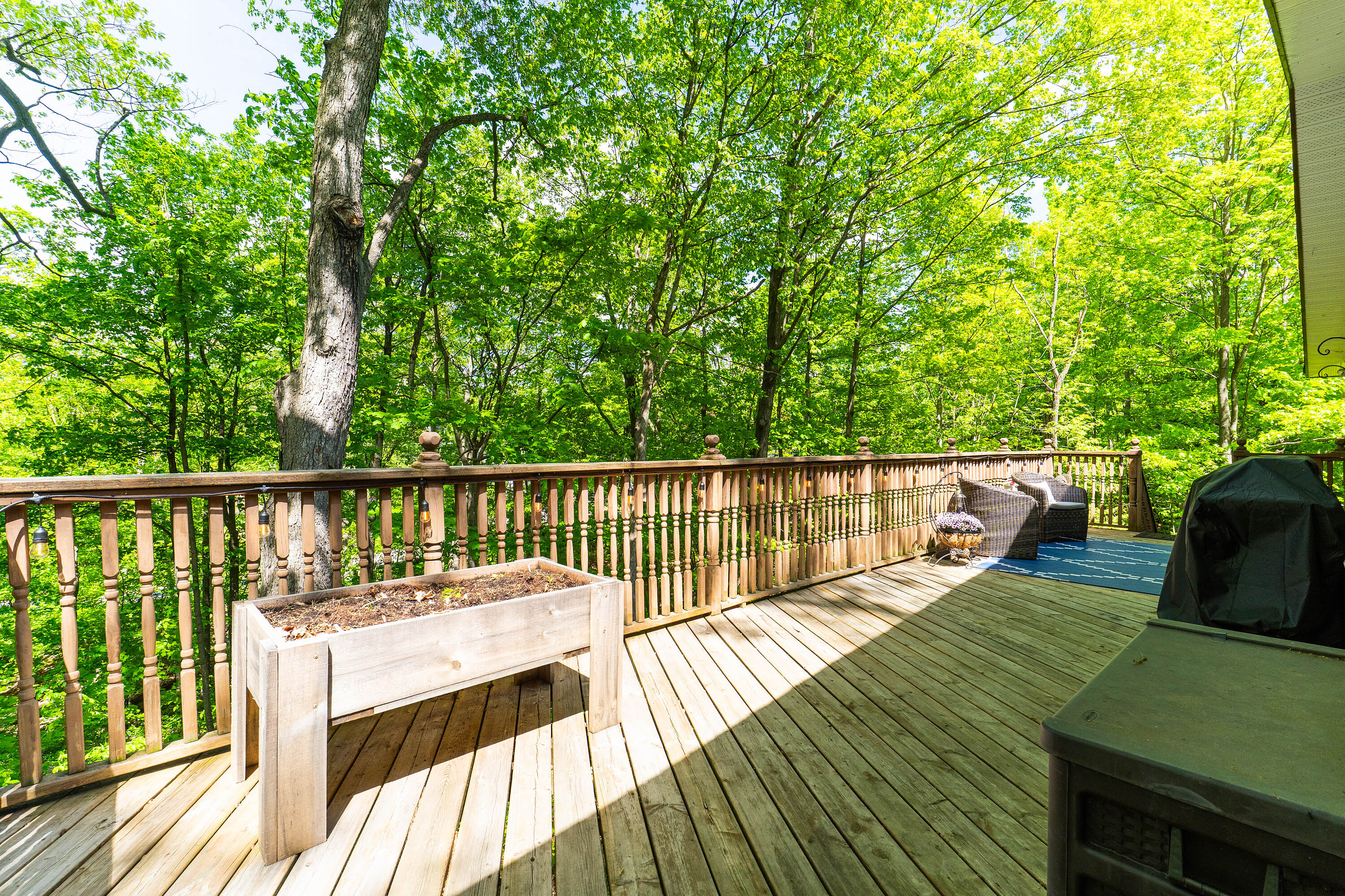  Privacy And Muskoka Charm - 物件實景