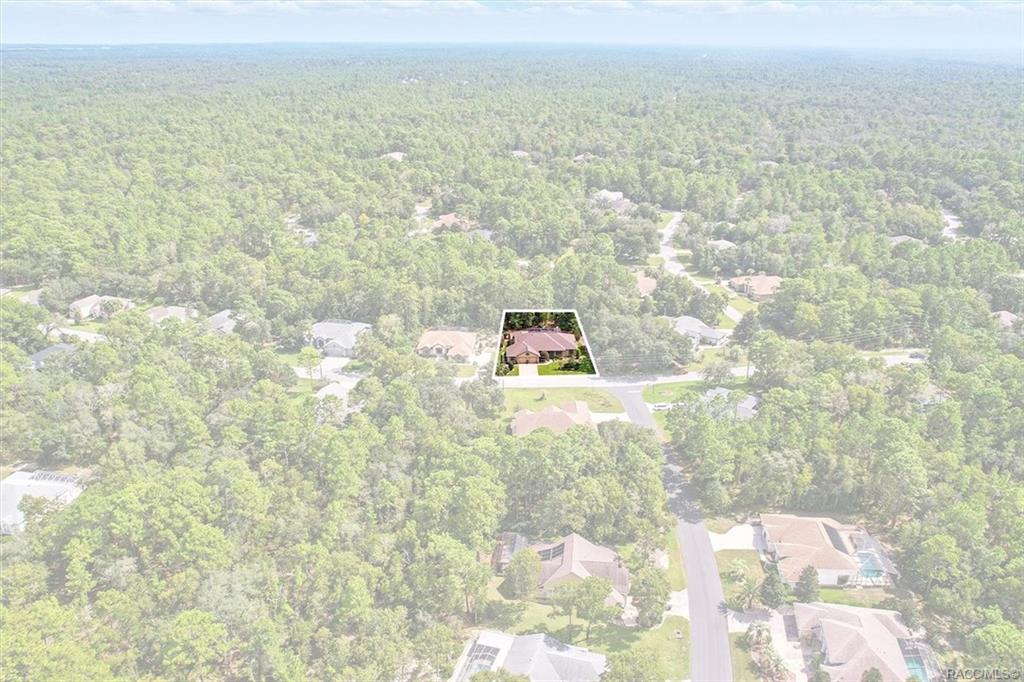 Homosassa, Florida, 34446, United States, 4 Bedrooms Bedrooms, ,4 BathroomsBathrooms,Residential,For Sale,1934205
