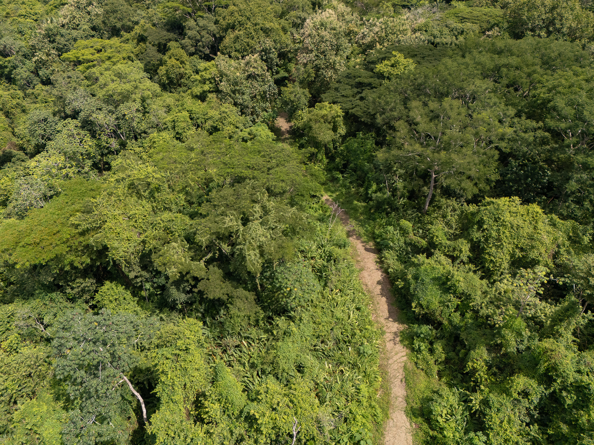 Cabuya, Puntarenas, 60111, CR, ,Land,For Sale,1999062